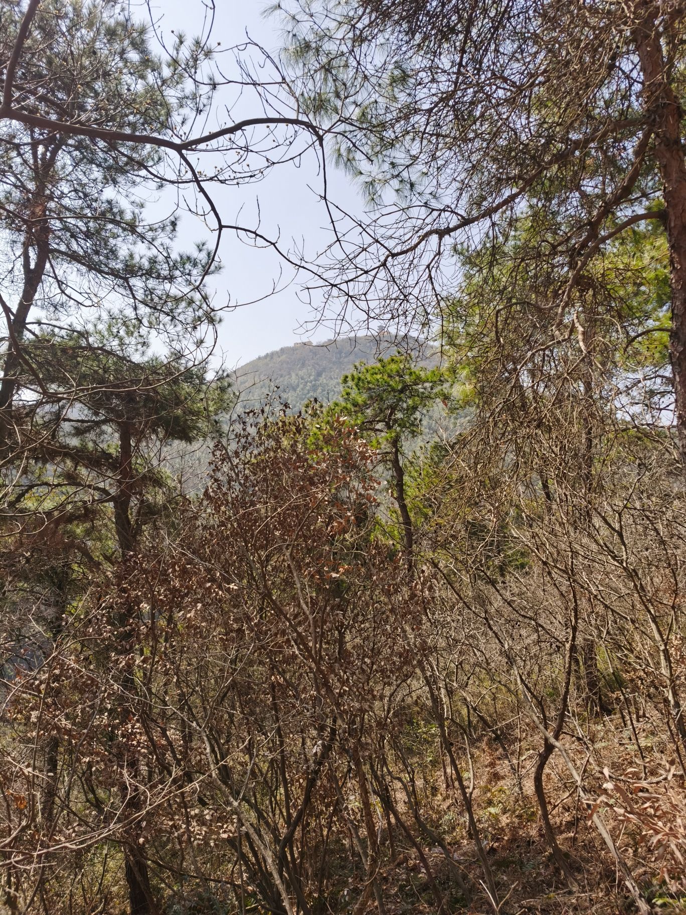 马鞍山大青山风景区旅行图片 2