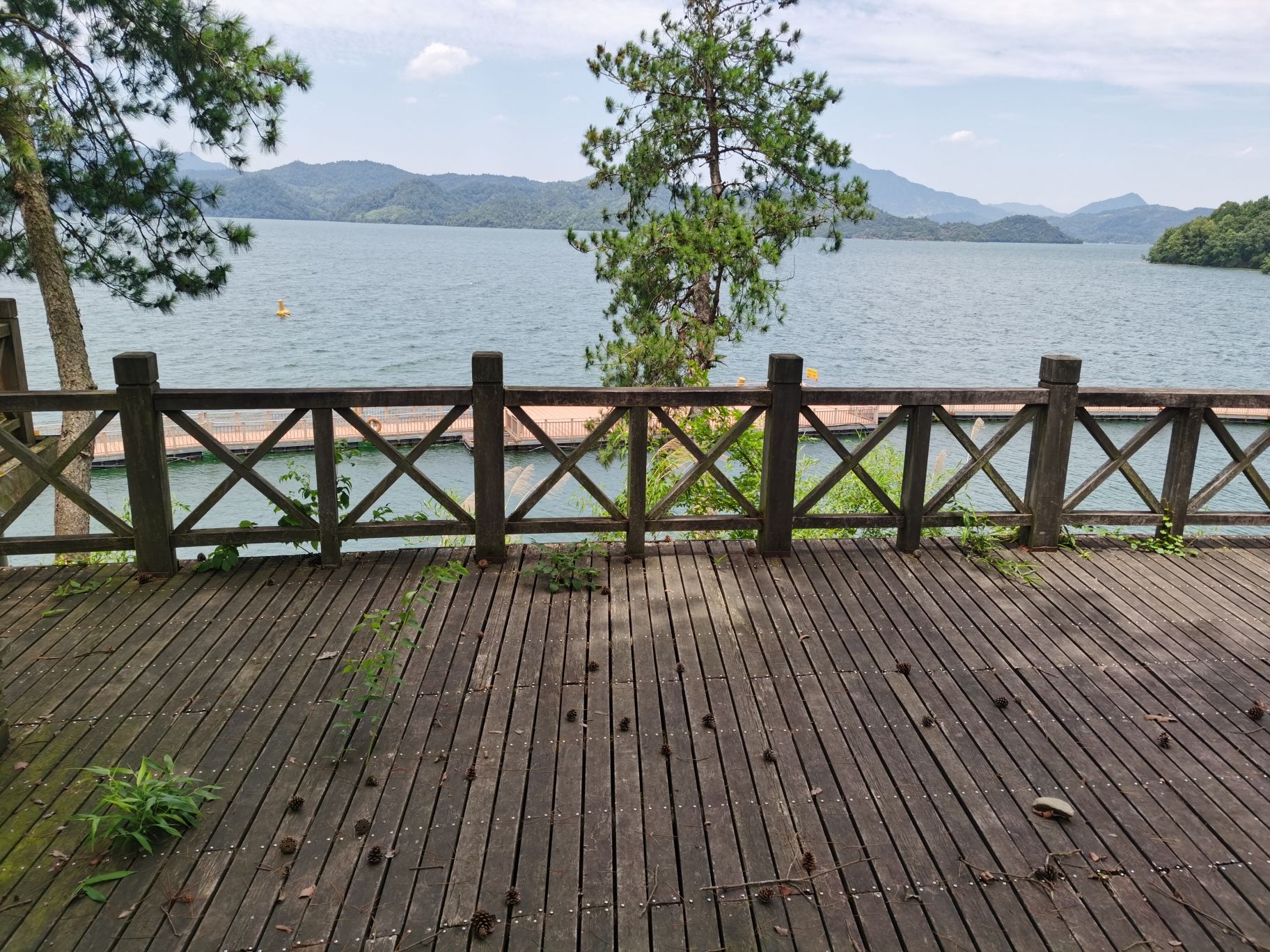 太平湖水上栈道旅行图片 3