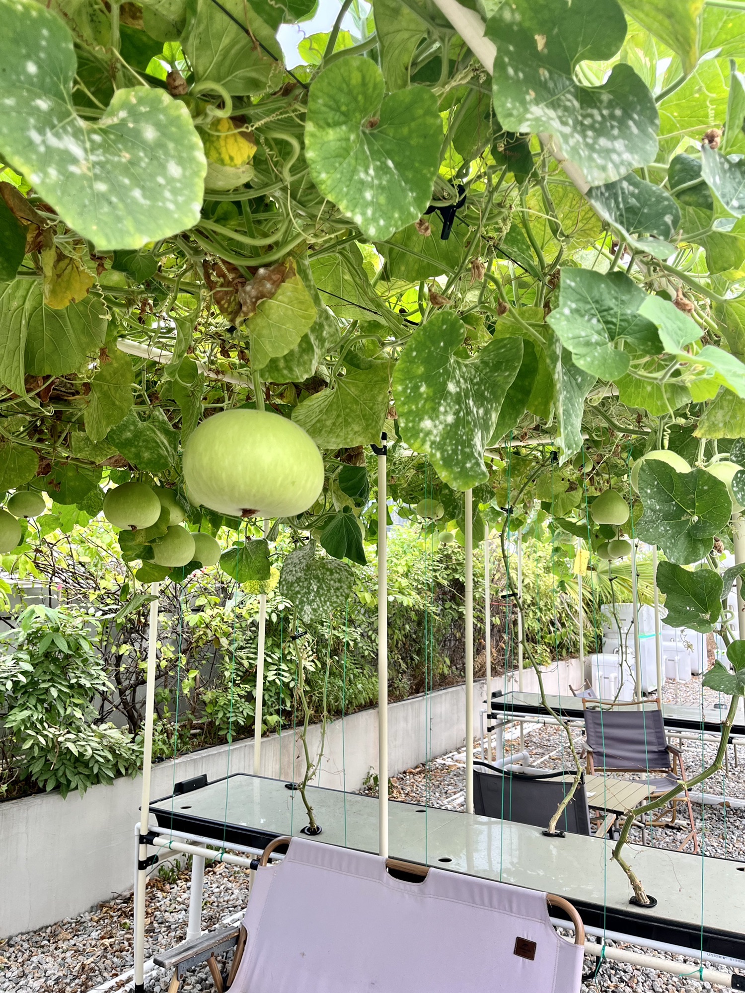 场地封面-很露GLAMPING天台露营团建求婚(很露傍边大水池)