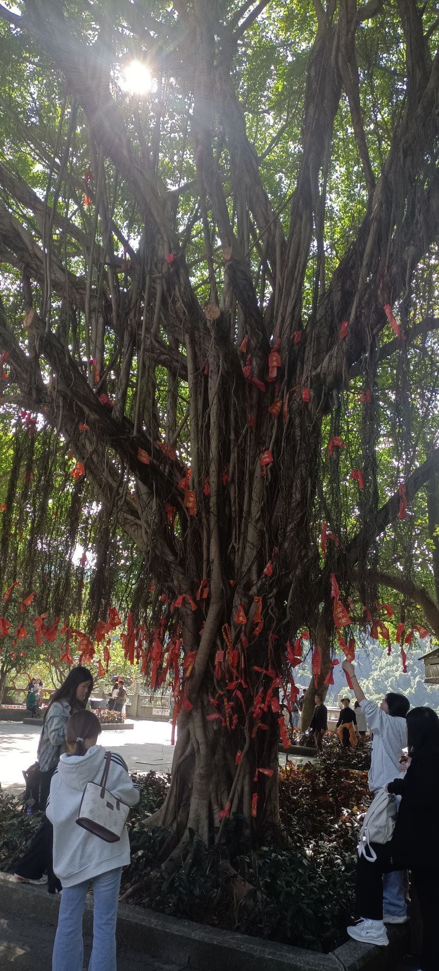 鼎湖大峡谷旅行图片 3