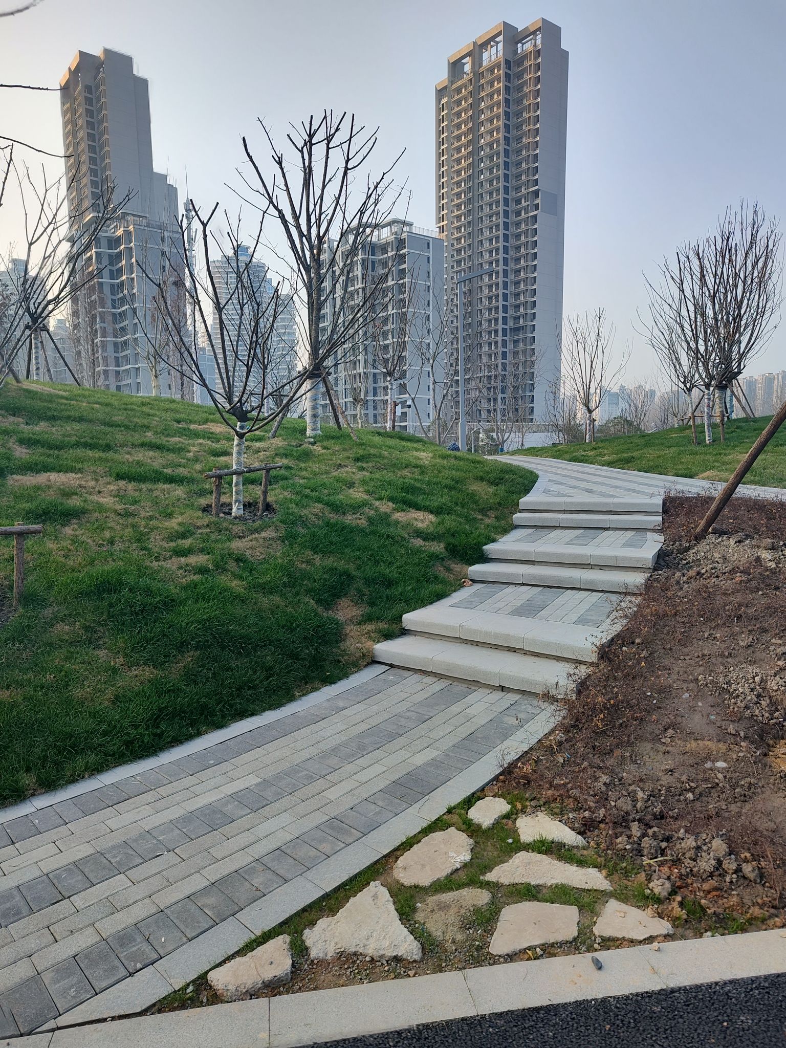 文举公园旅行图片 2