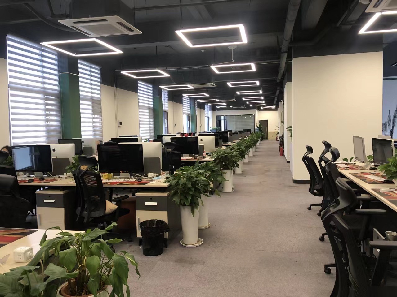 星驰传媒(长沙办公区)
