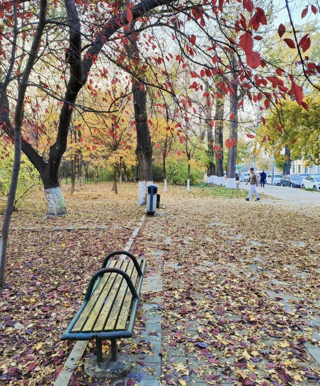 劳动公园旅行图片 2