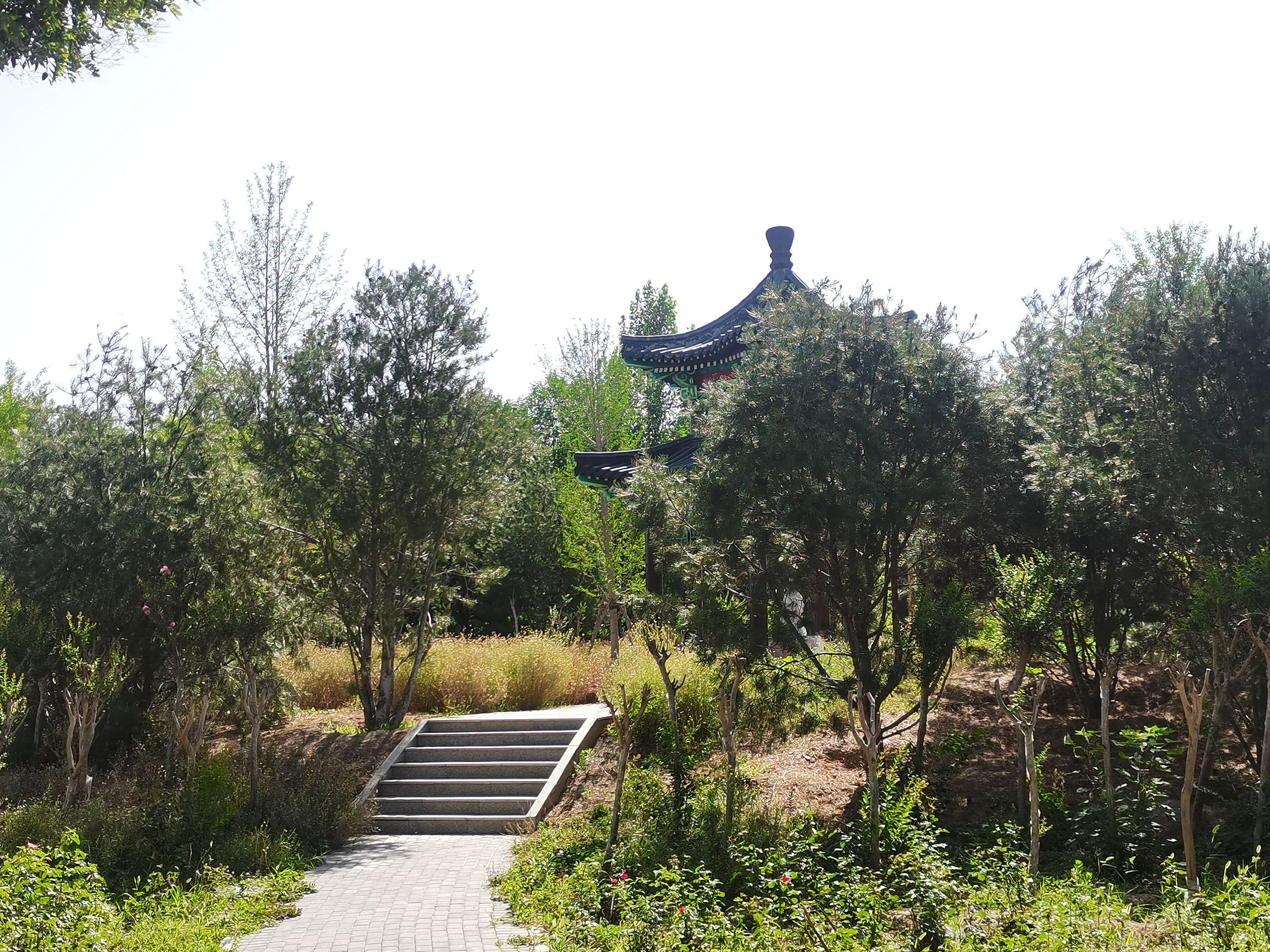 劳动公园旅行图片 3