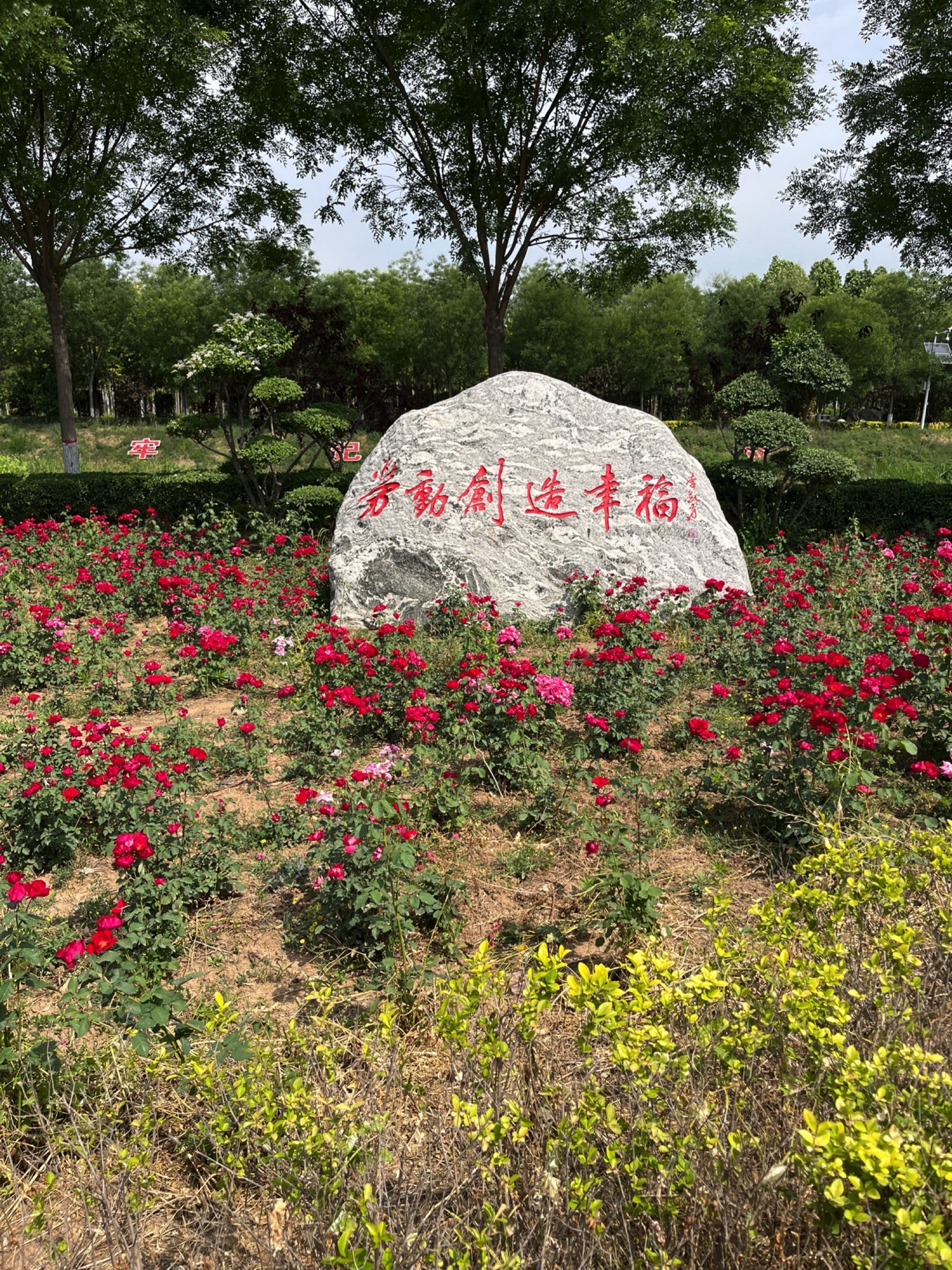 劳动公园旅行图片 3