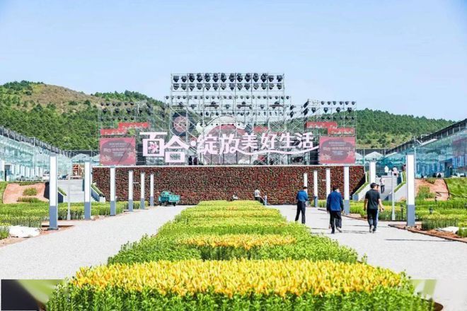 中国百合博览园(暂停开放)旅行图片 1