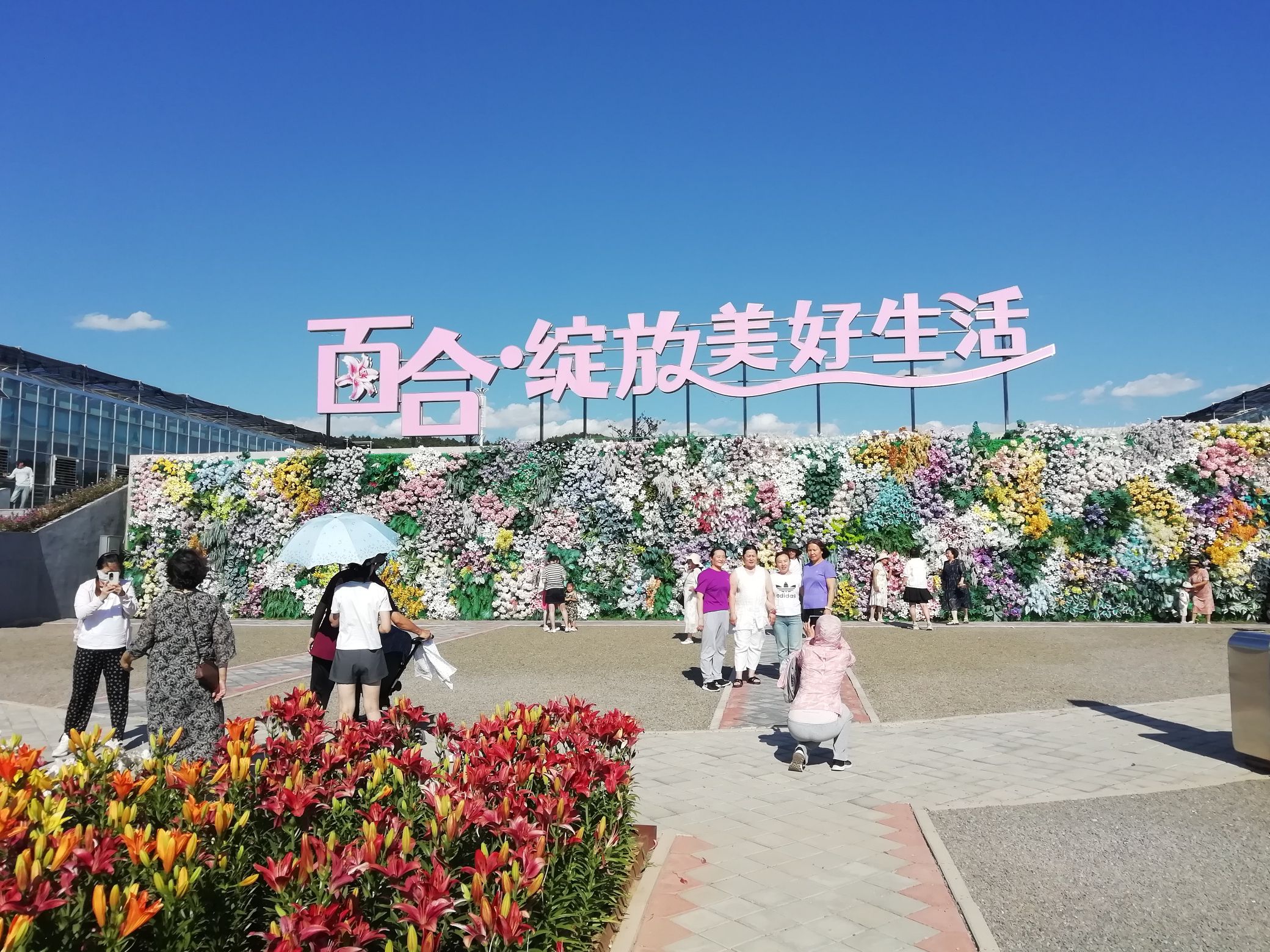 中国百合博览园