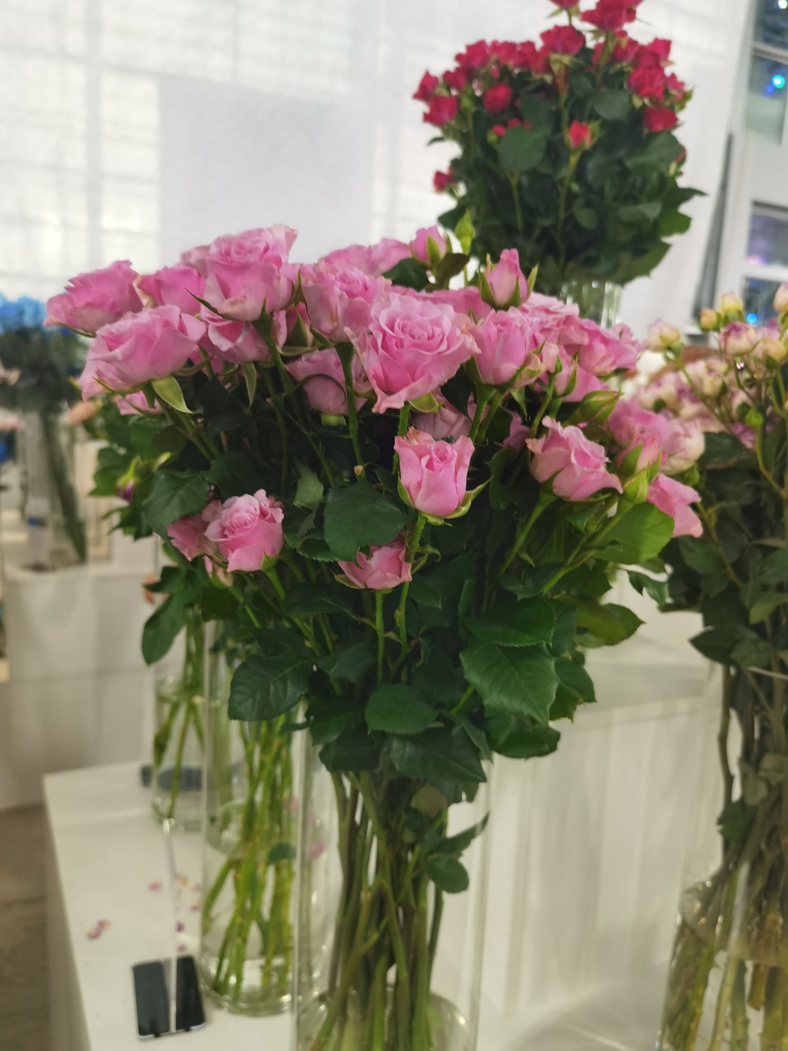 中国百合博览园(暂停开放)旅行图片 3