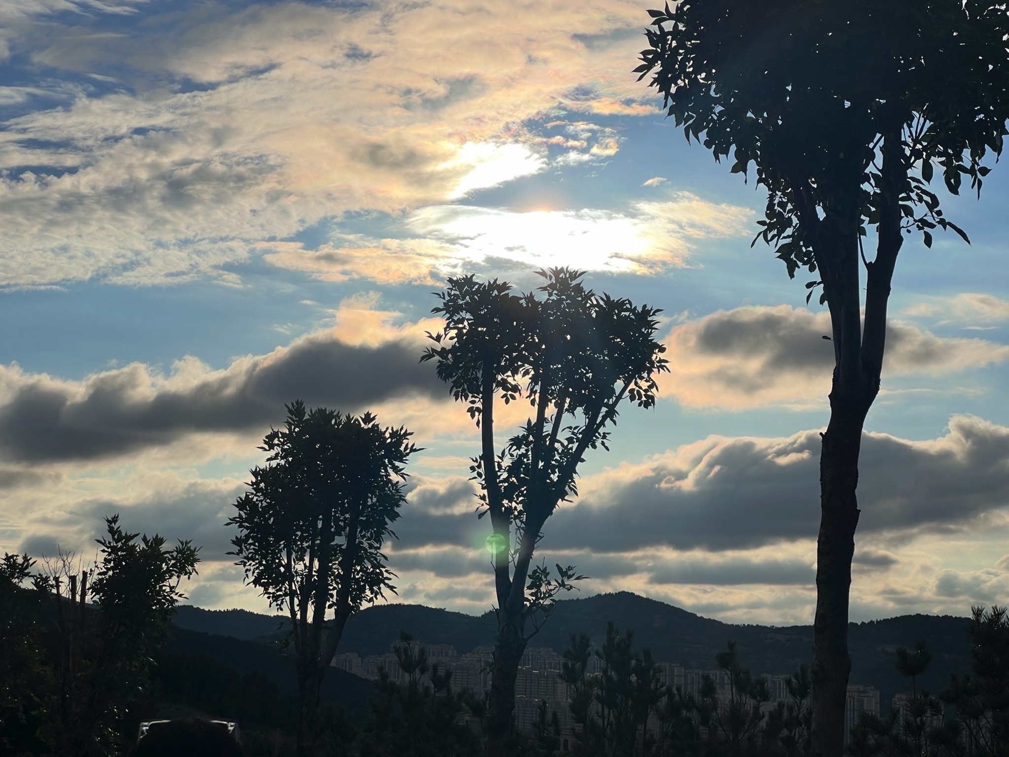 锦屏东山公园旅行图片 3