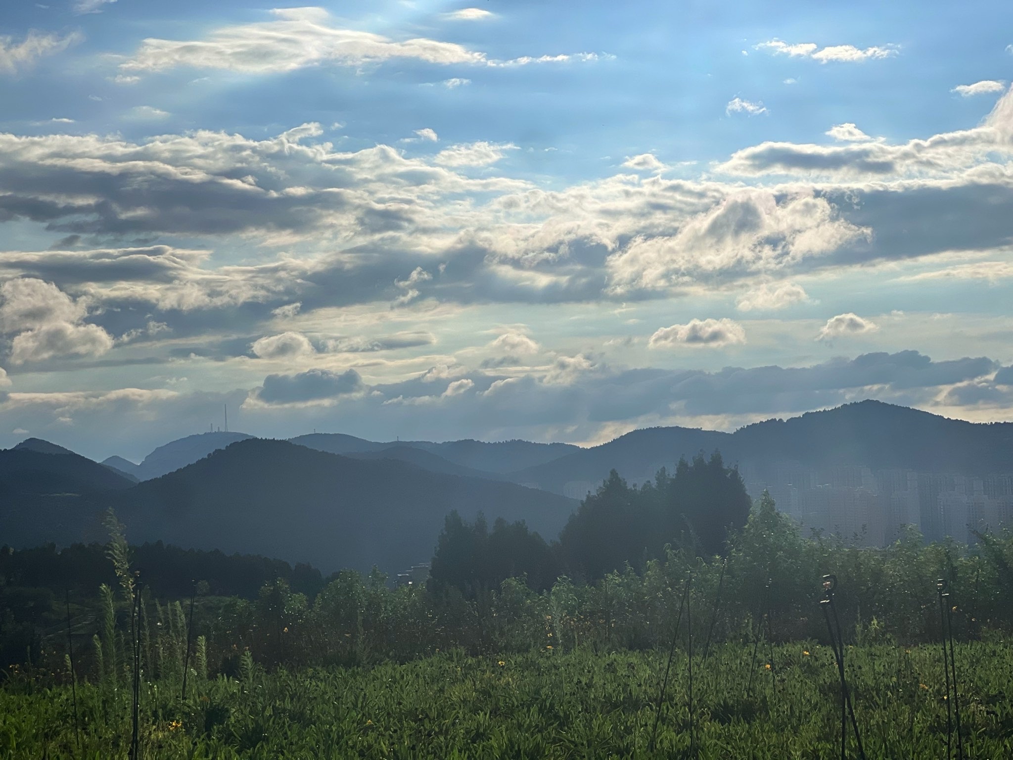 锦屏东山公园旅行图片 1