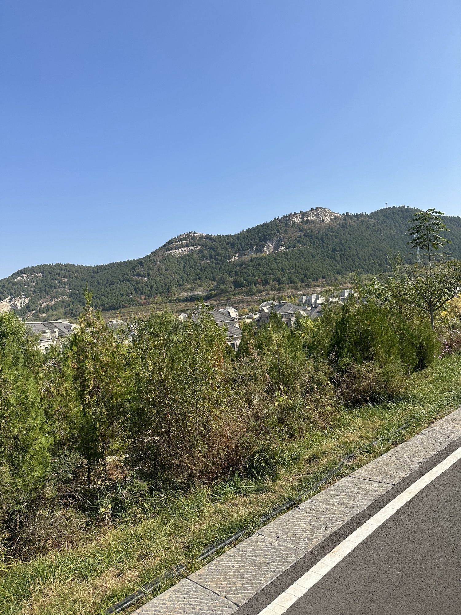 锦屏东山公园旅行图片 1