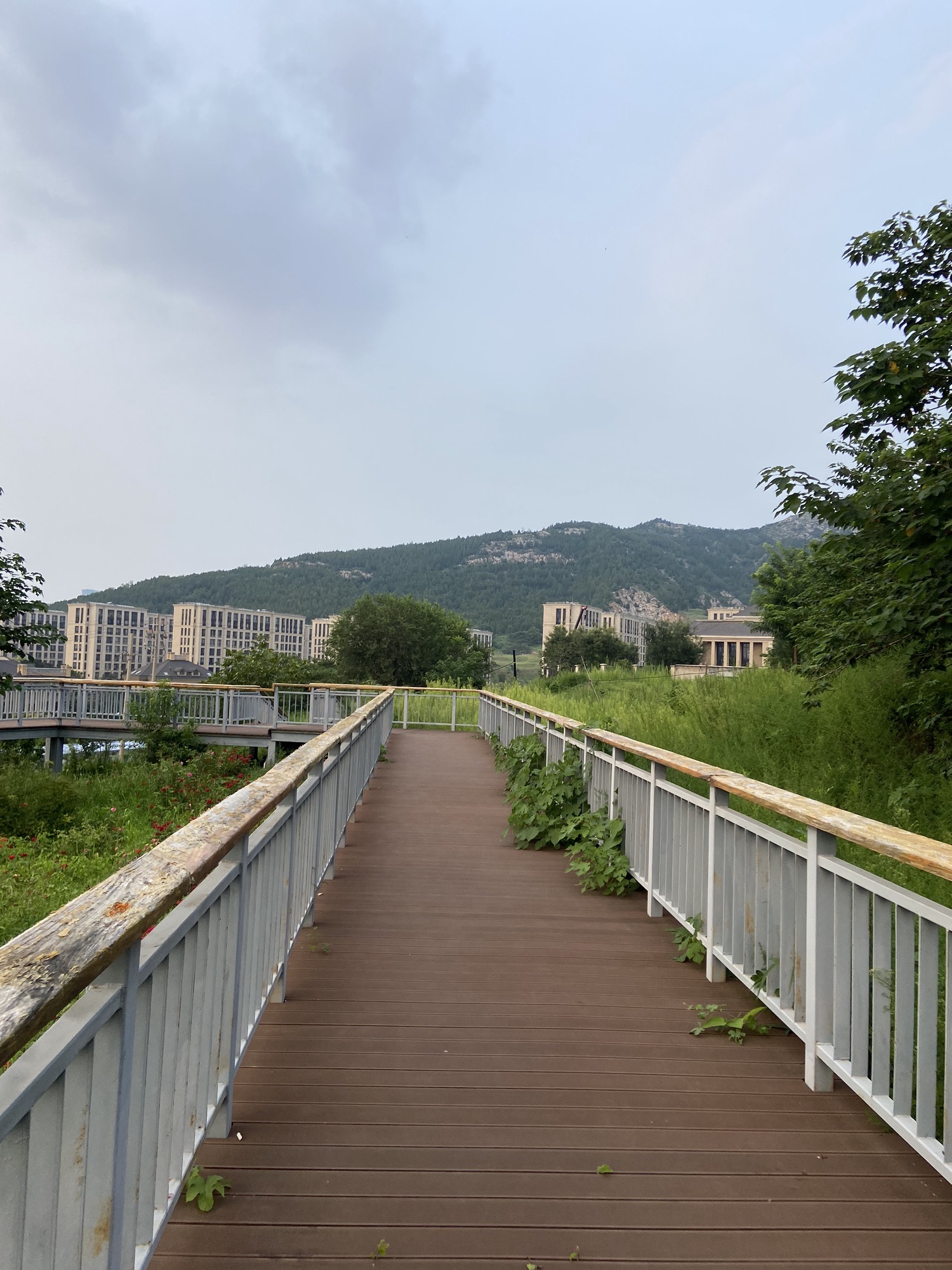 锦屏东山公园旅行图片 1