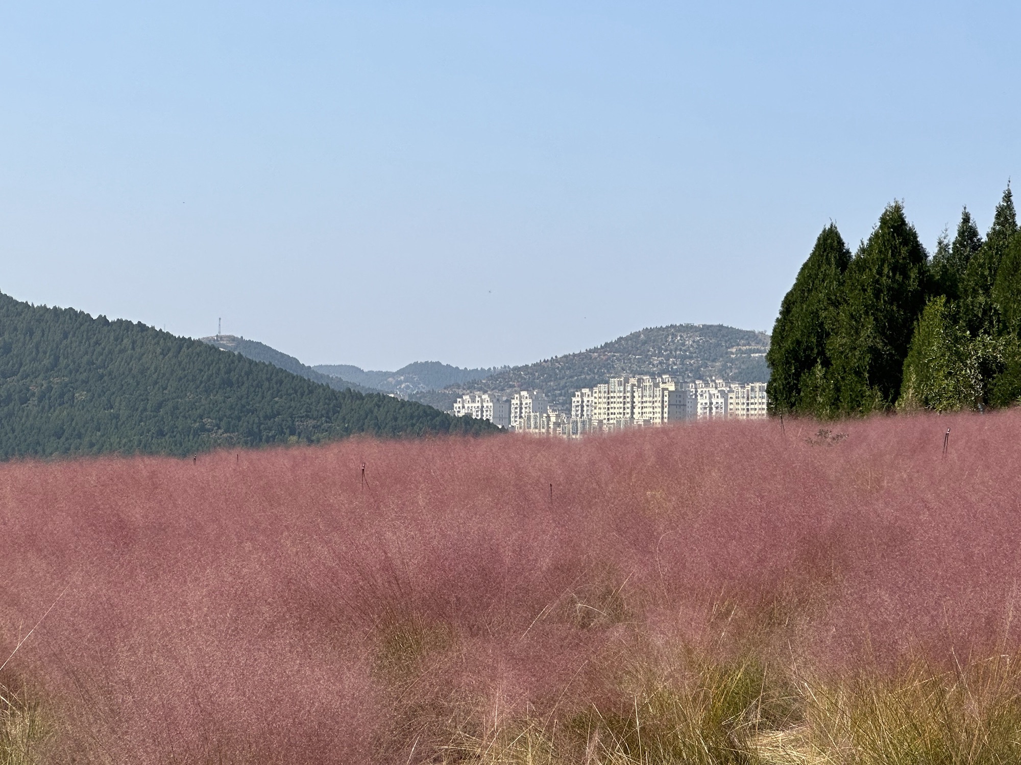 锦屏东山公园旅行图片 2