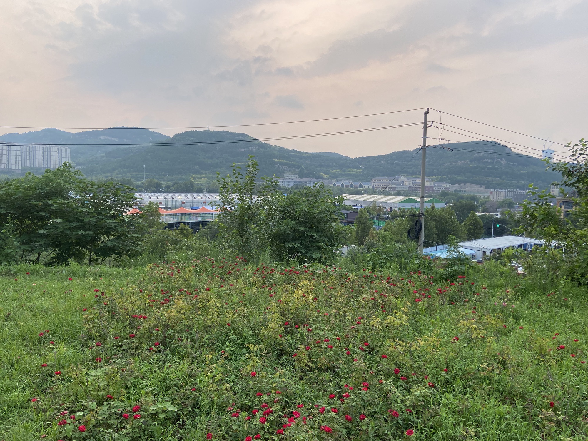 锦屏东山公园旅行图片 3