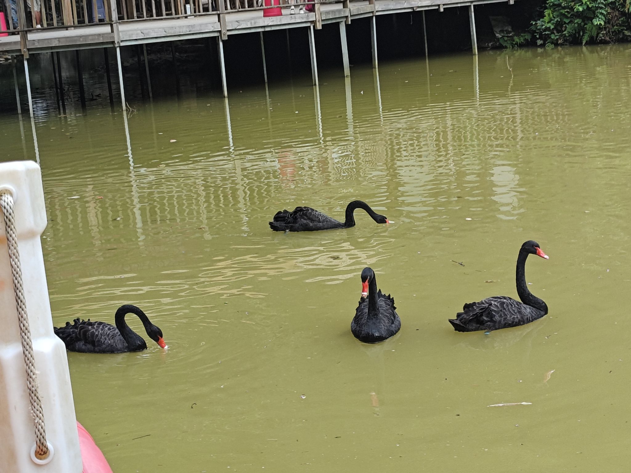 玉皇谷景区旅行图片 1