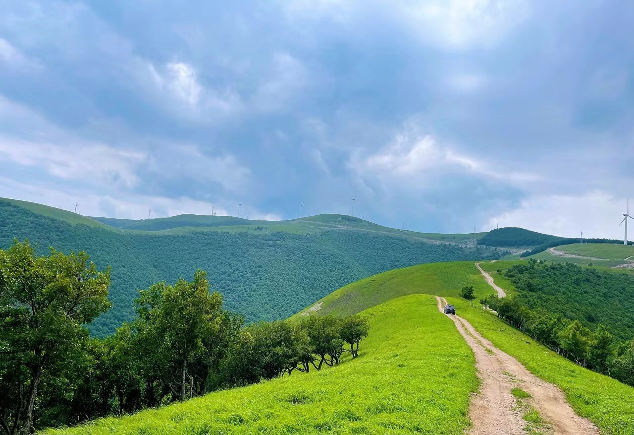 茶山云海旅行图片 2