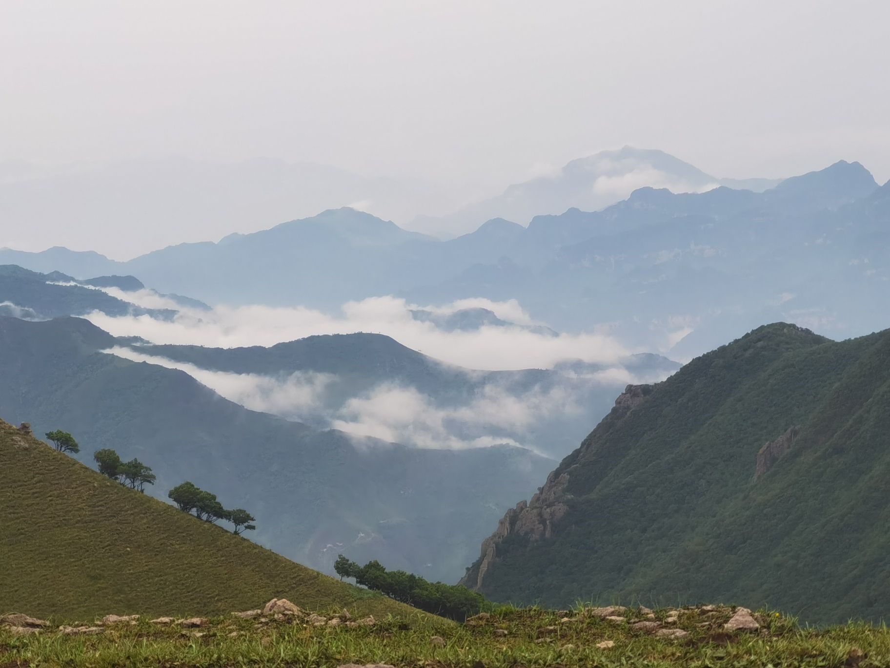 茶山云海旅行图片 1