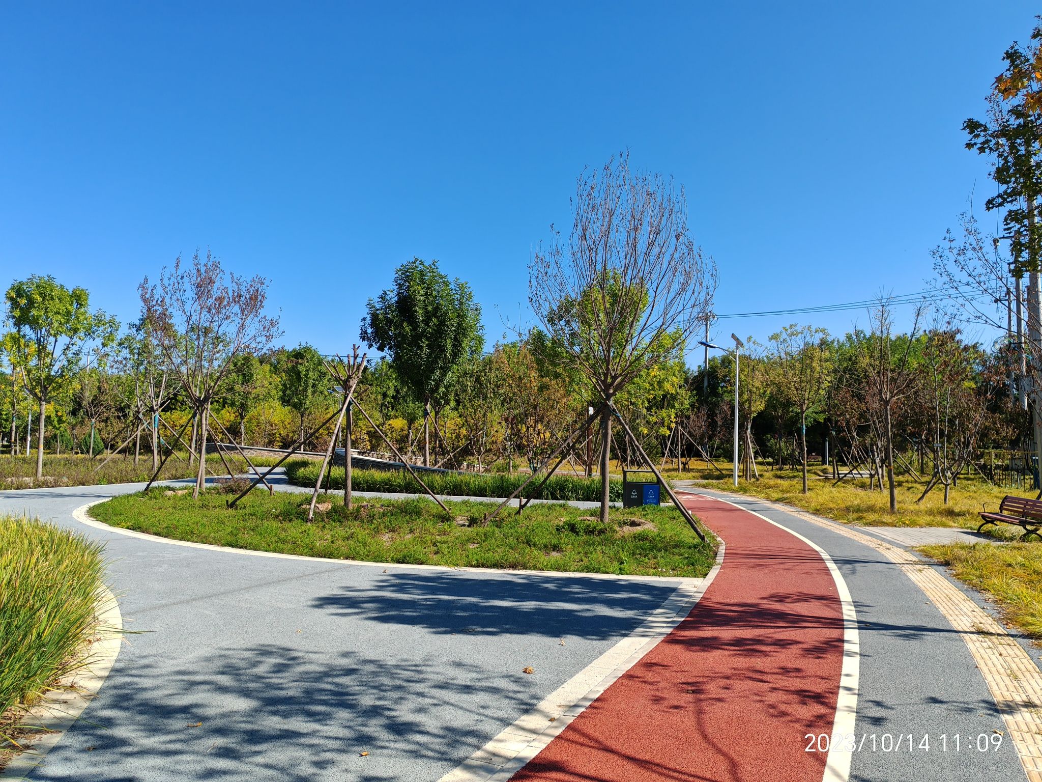 窦店新城森林公园旅行图片 3
