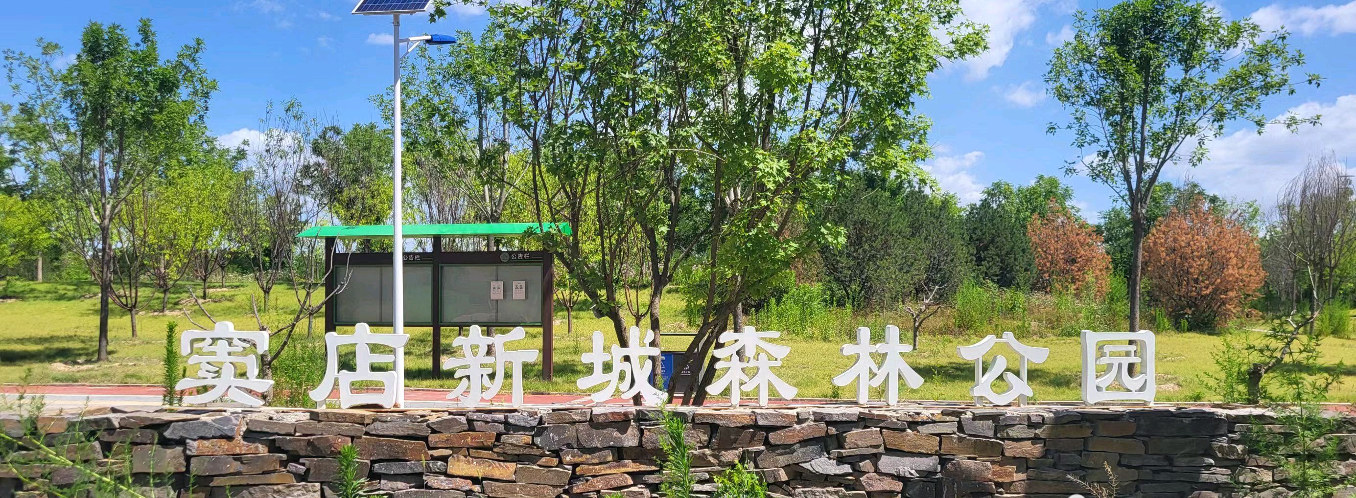 窦店新城森林公园旅行图片 1