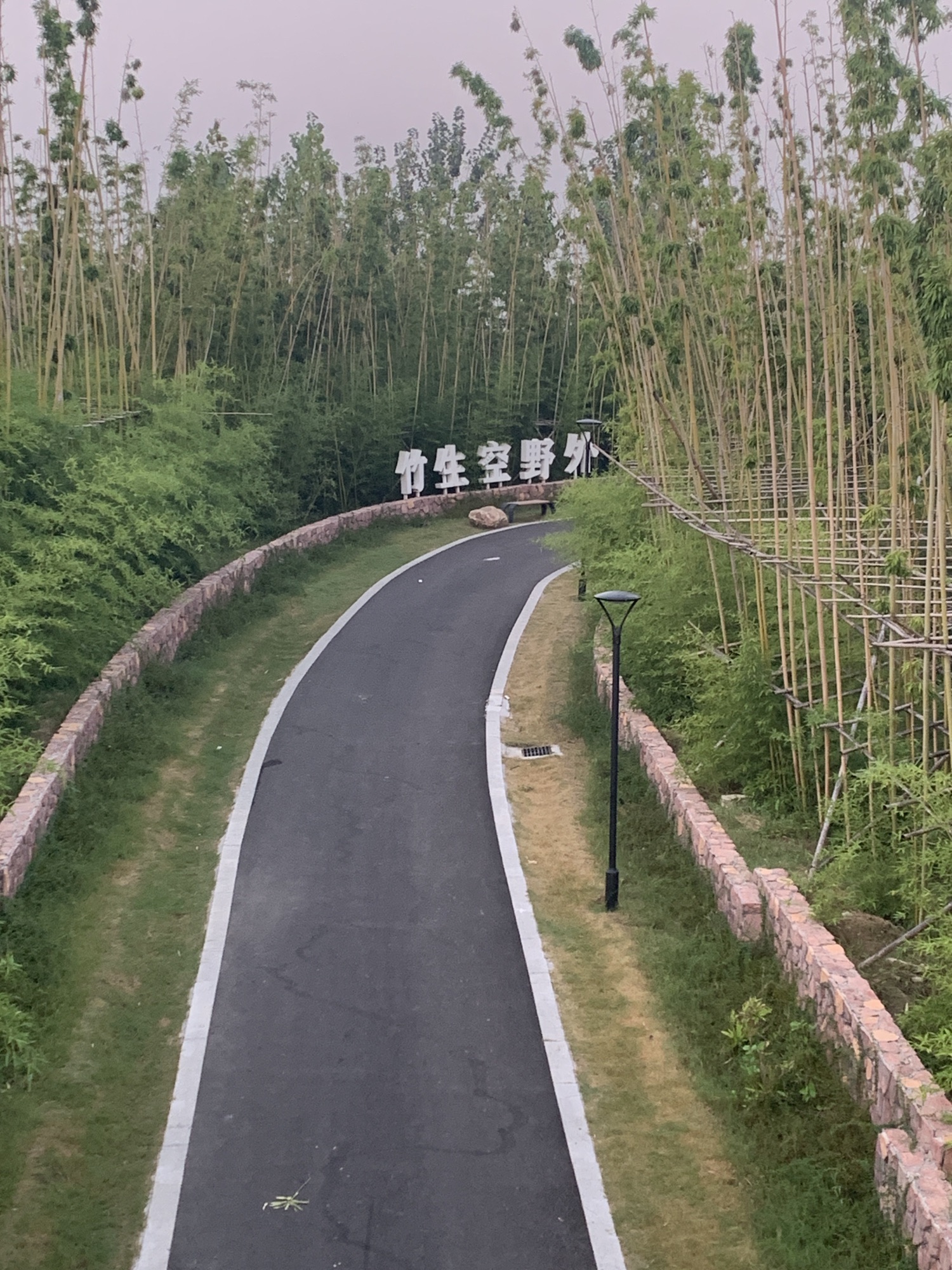 日月湖百竹园旅行图片 3