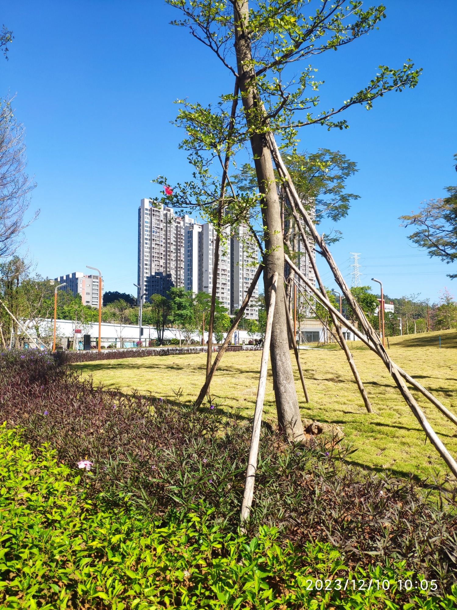 惠环公园旅行图片 2