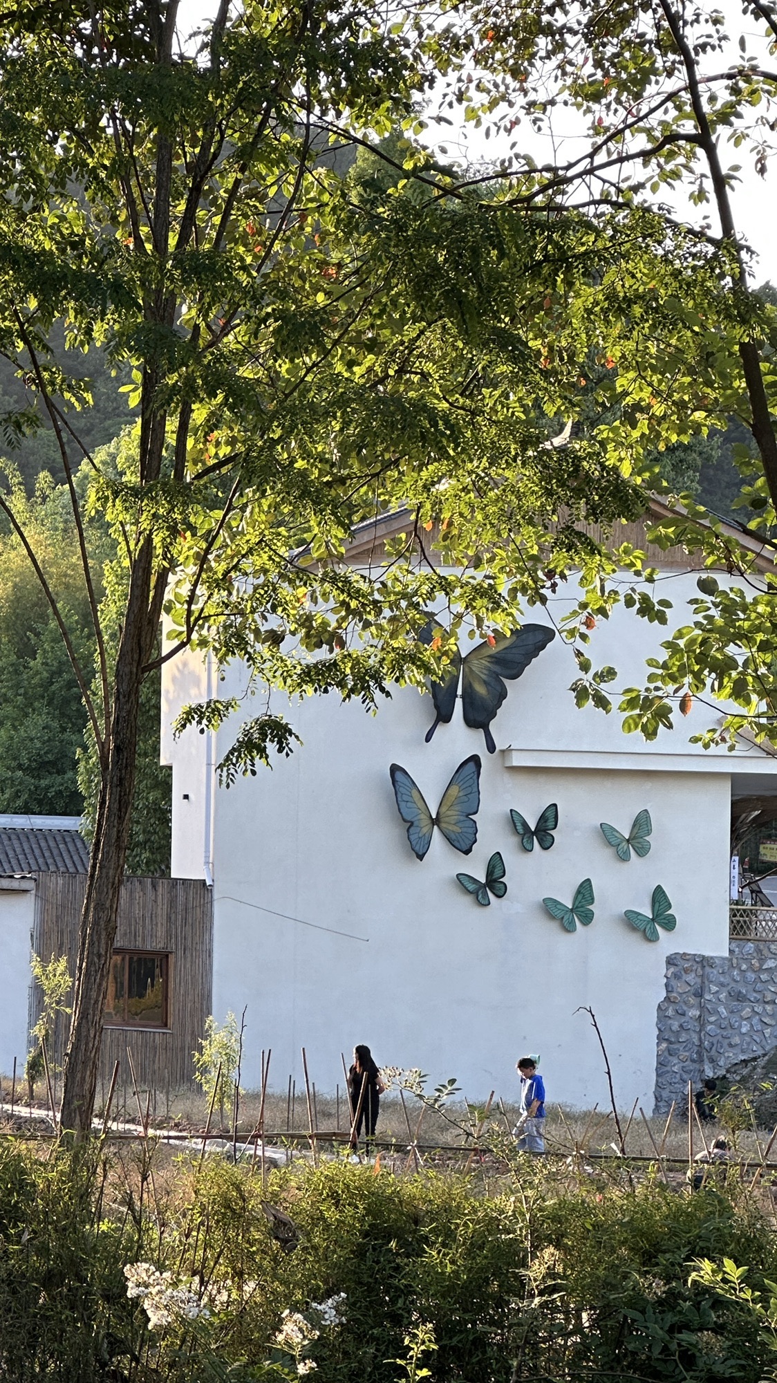 无根山竹艺公园旅行图片 2