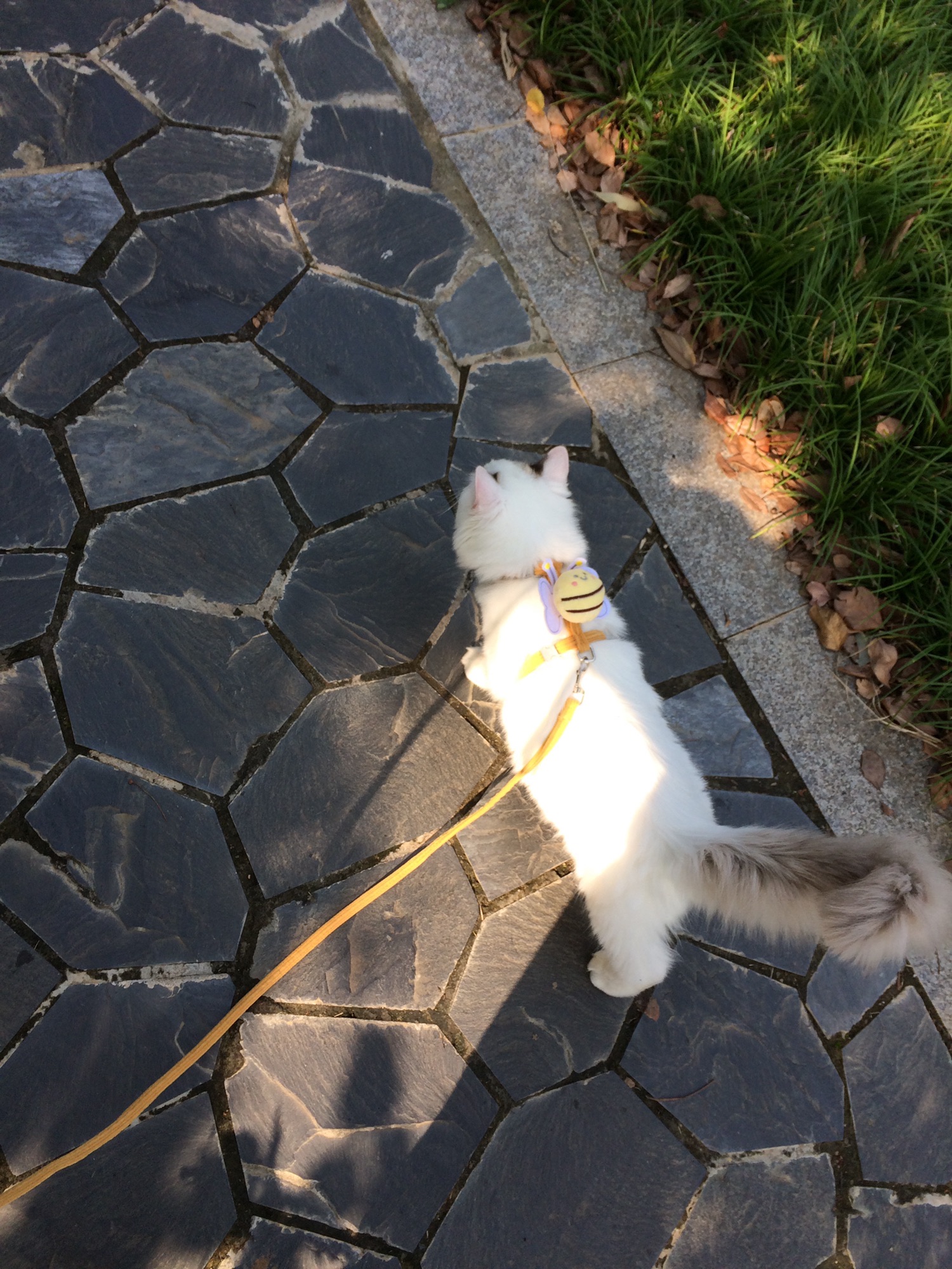 赓续公园旅行图片 1