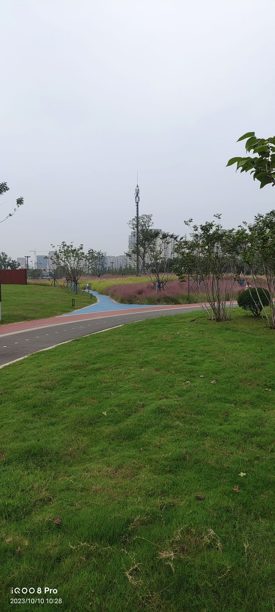 赓续公园旅行图片 1