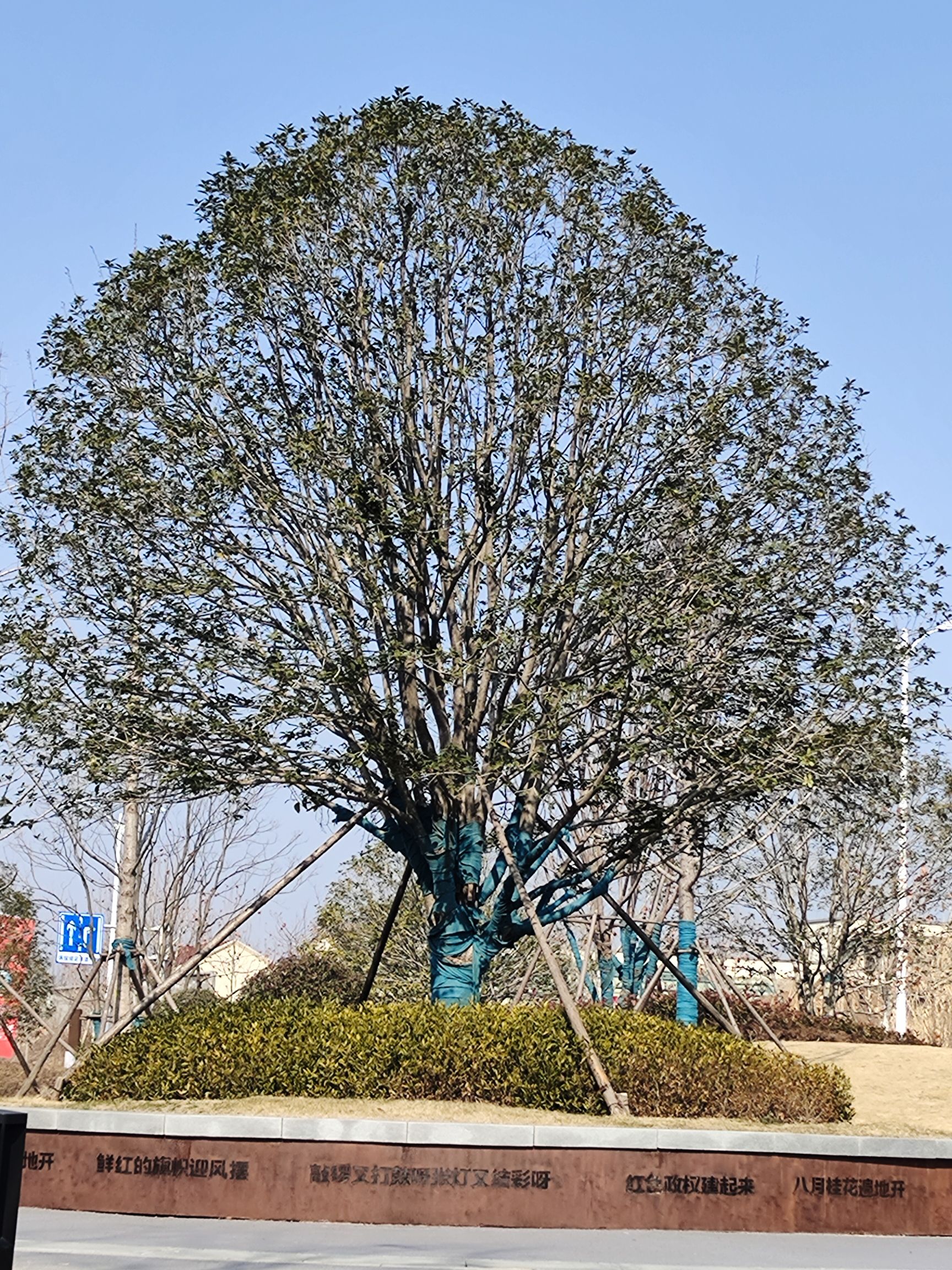 赓续公园旅行图片 1
