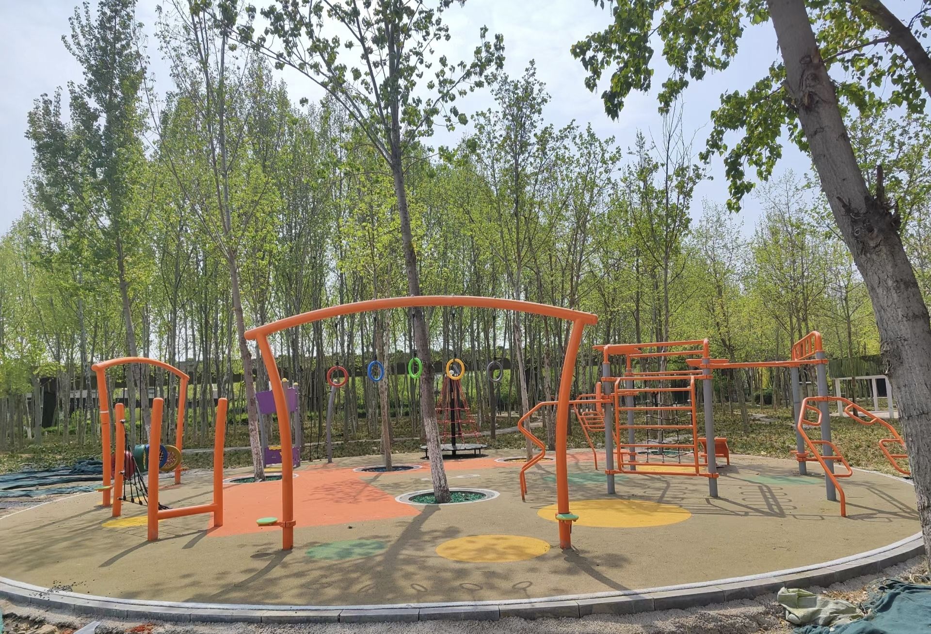 邯郸体育公园旅行图片 3