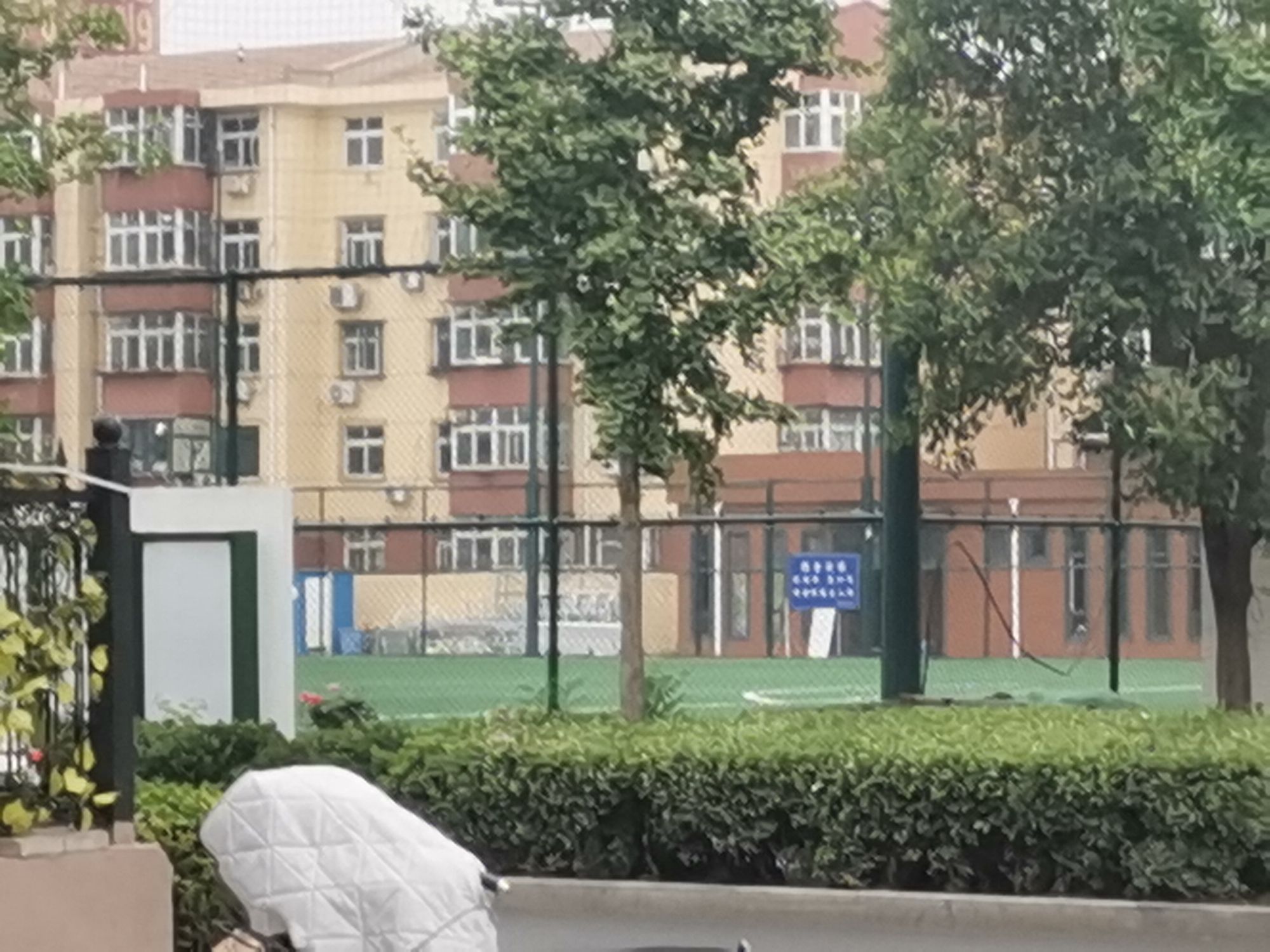 邯郸体育公园旅行图片 1
