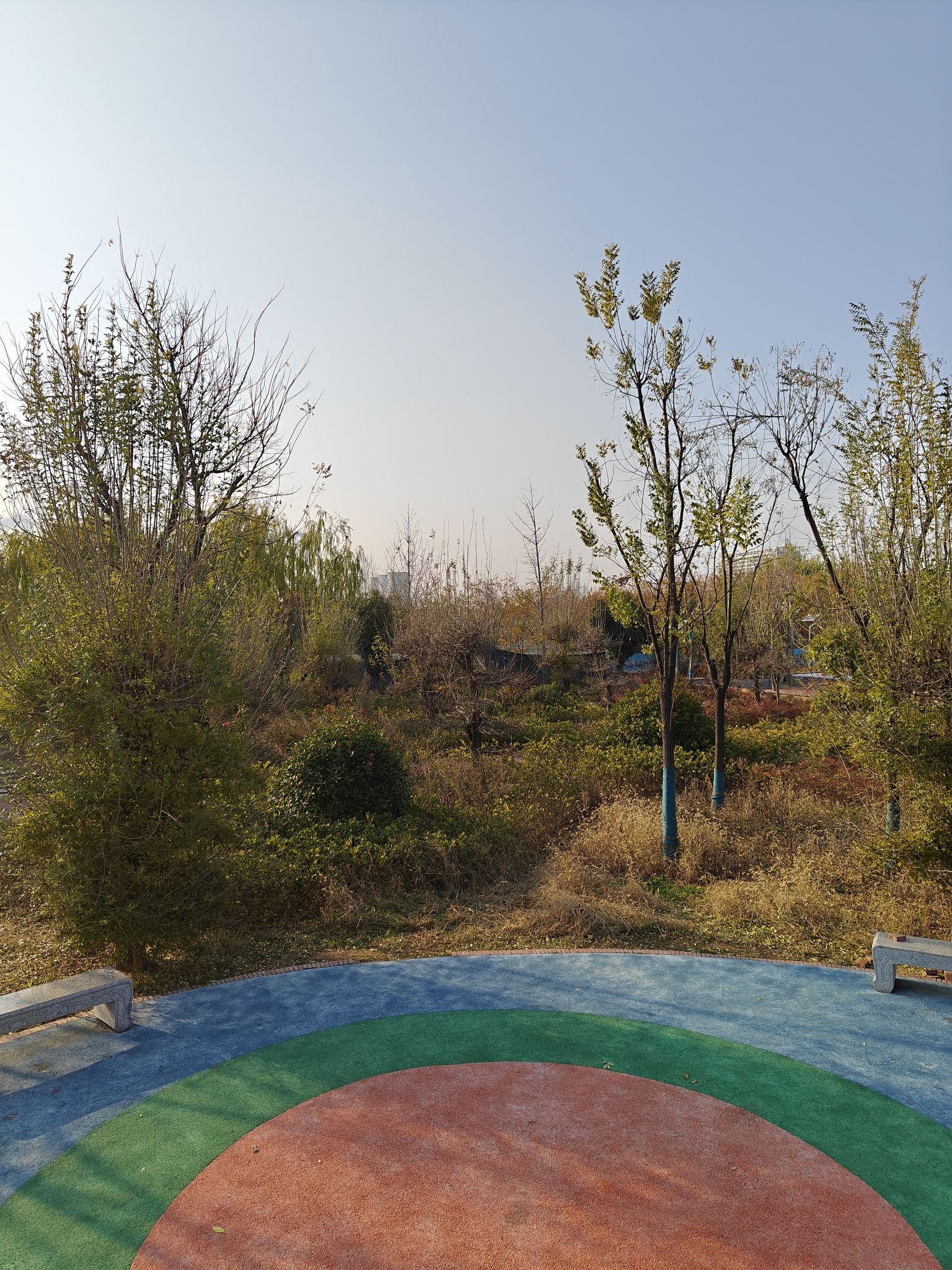 百花湖公园旅行图片 3