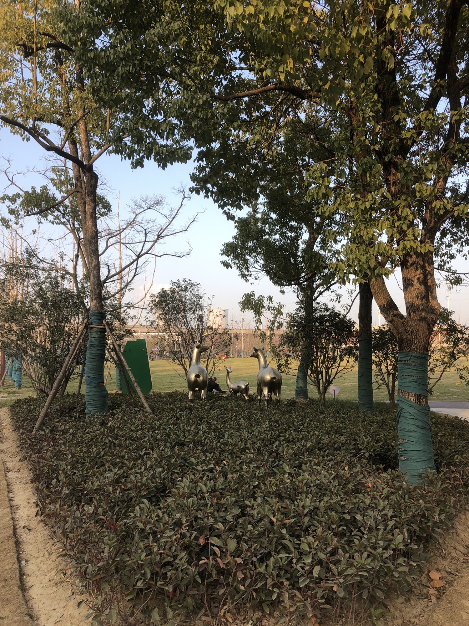 四里渠滨水公园旅行图片 2