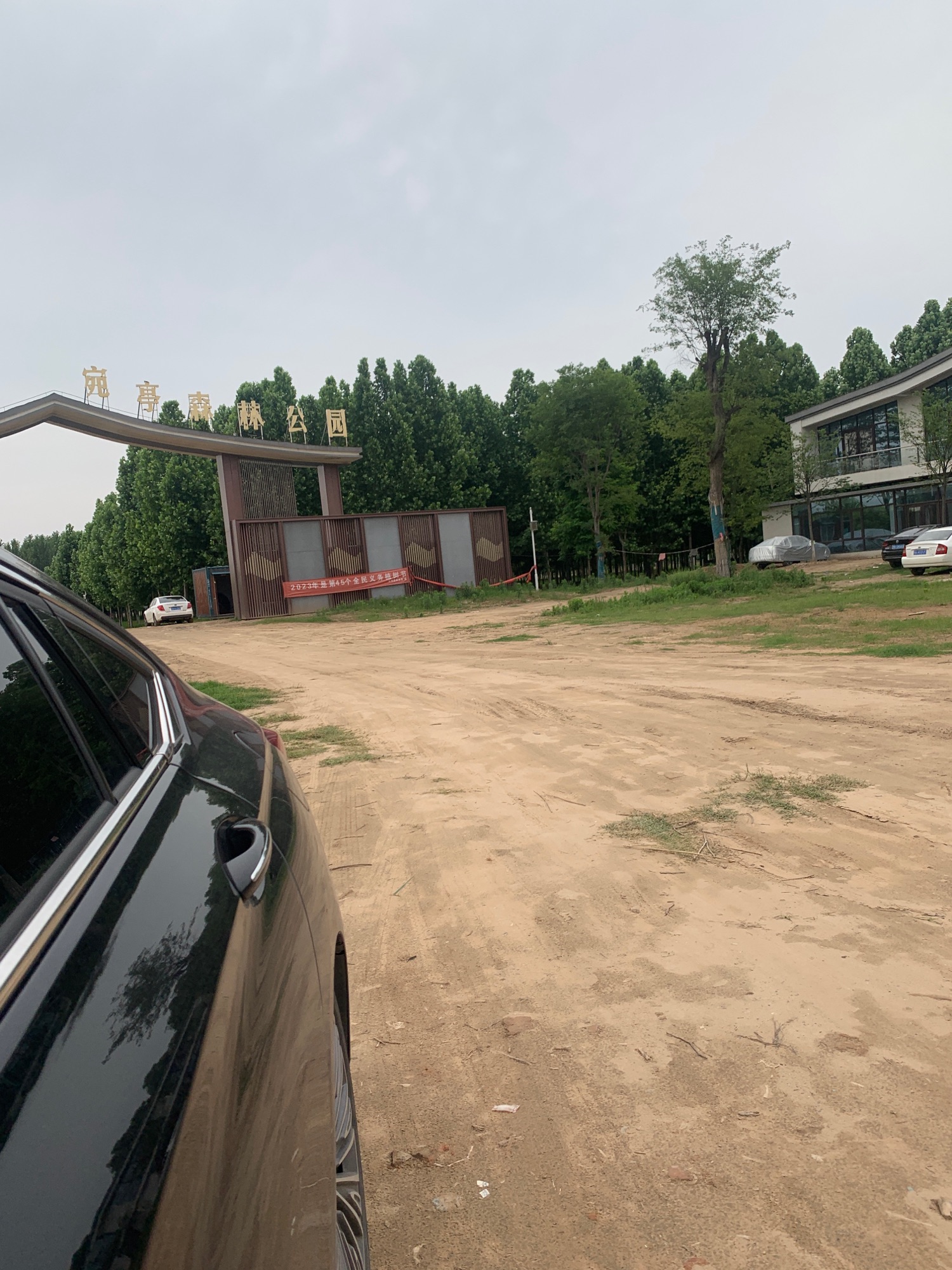 东明宛亭森林公园旅行图片 2