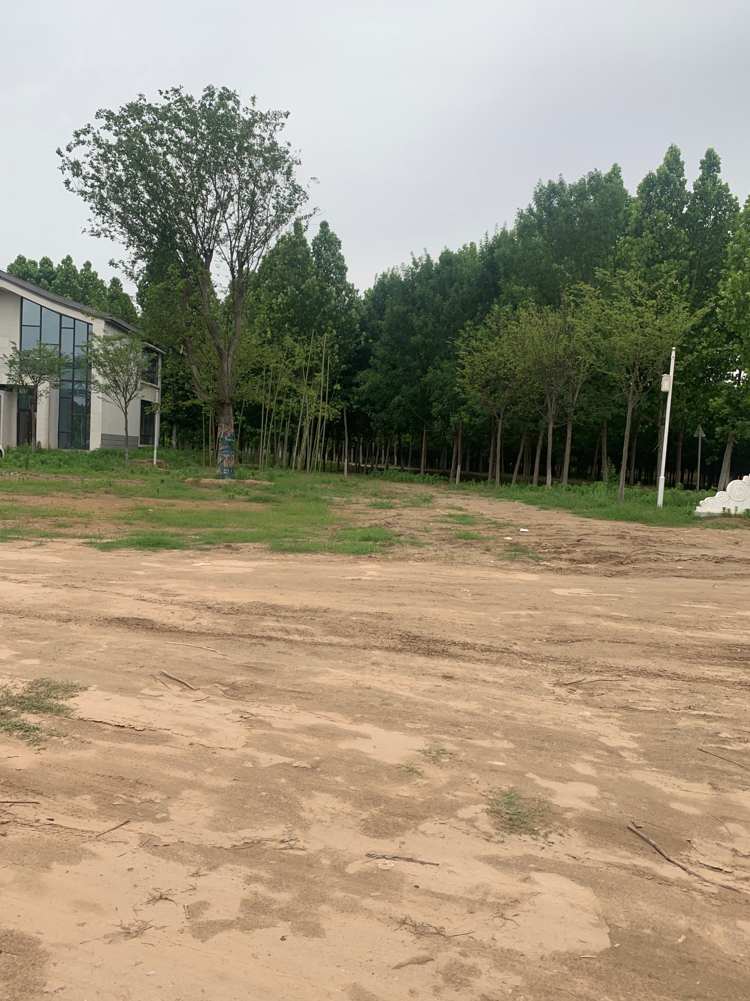 东明宛亭森林公园旅行图片 3