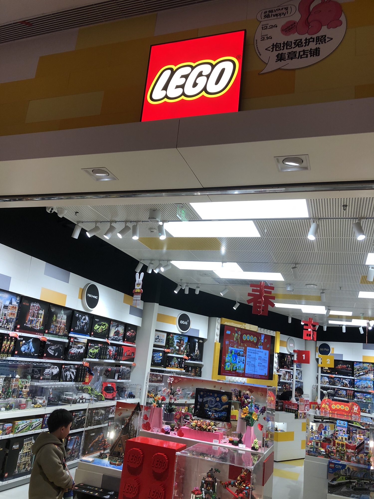 LEGO乐高(庐阳万象汇店)