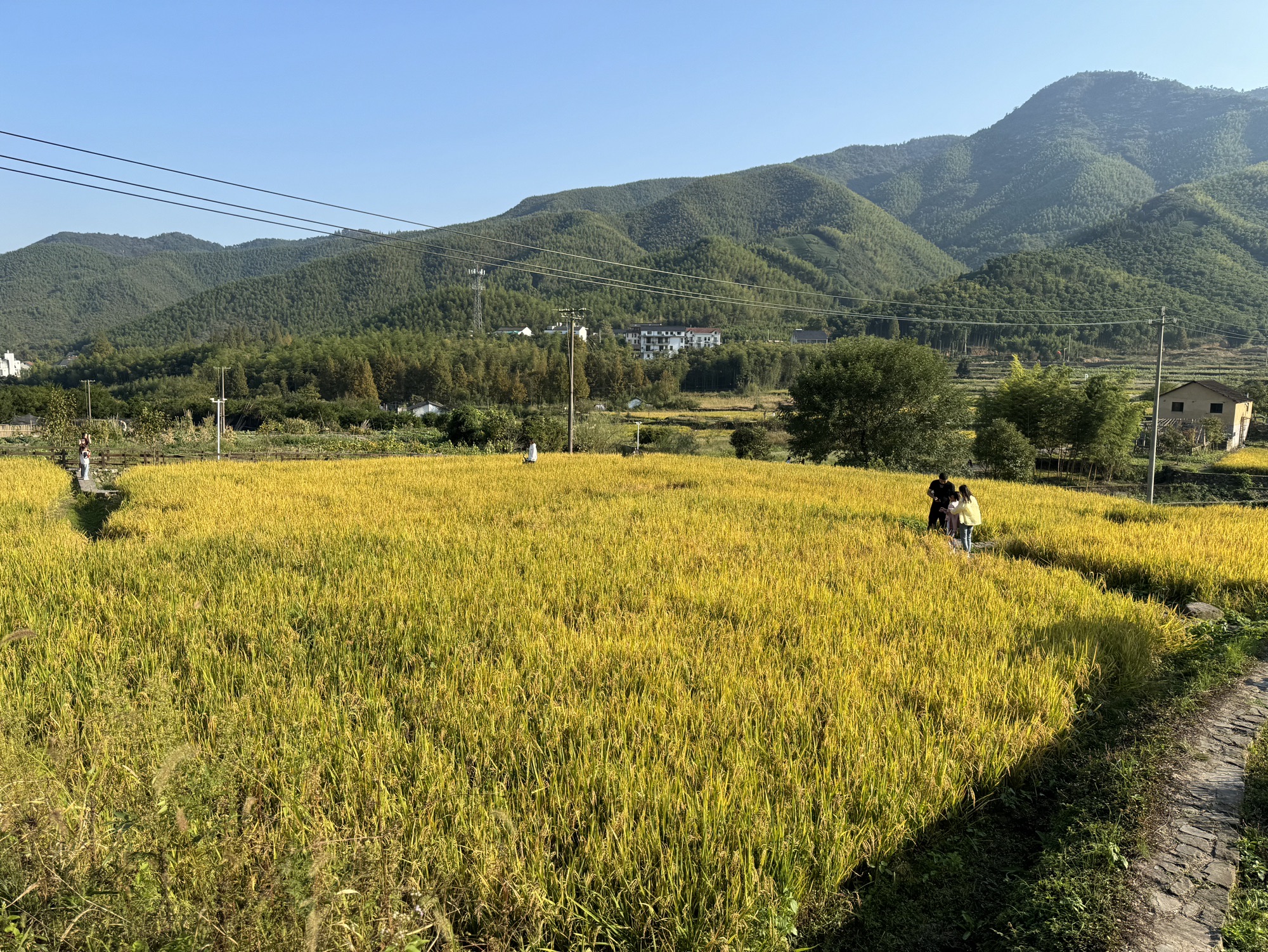 仙潭田园乐园旅行图片 2