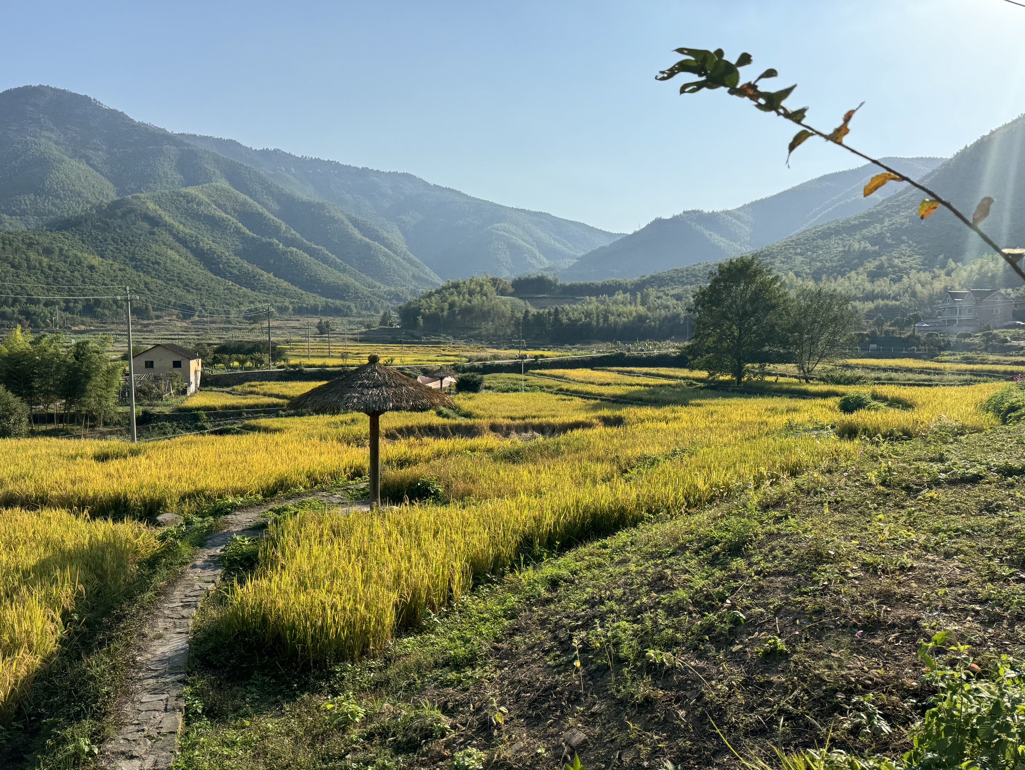 仙潭田园乐园旅行图片 1