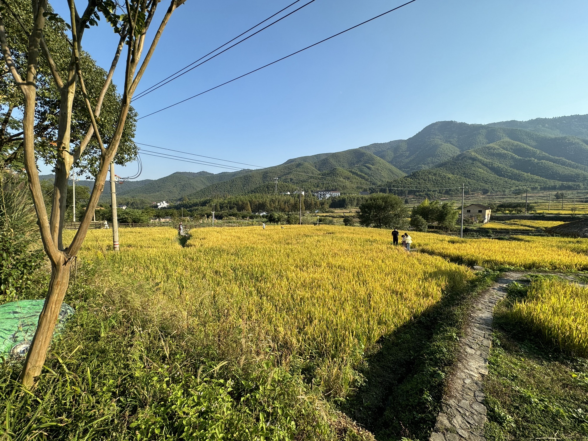 仙潭田园乐园旅行图片 3