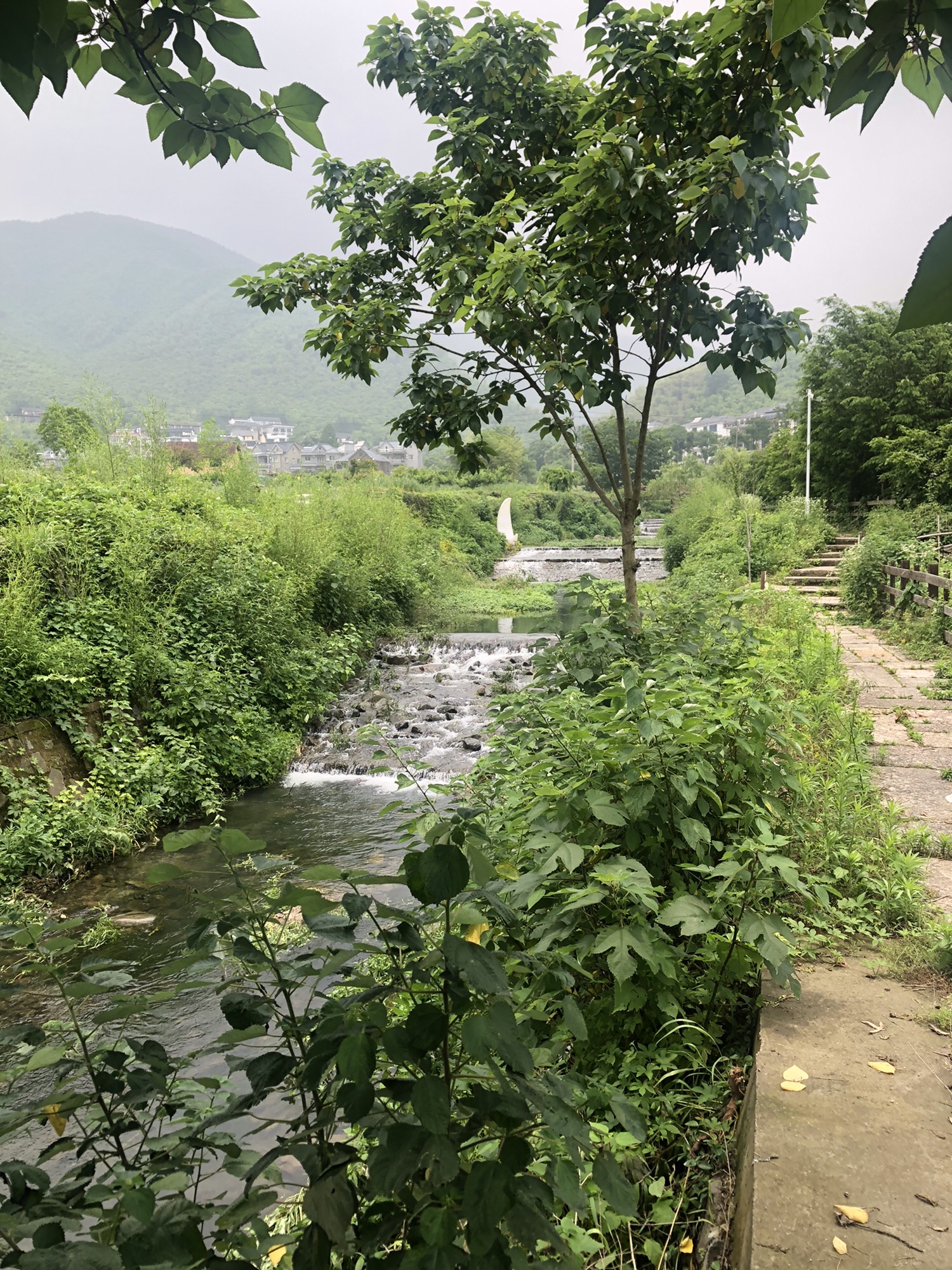 仙潭田园乐园旅行图片 1