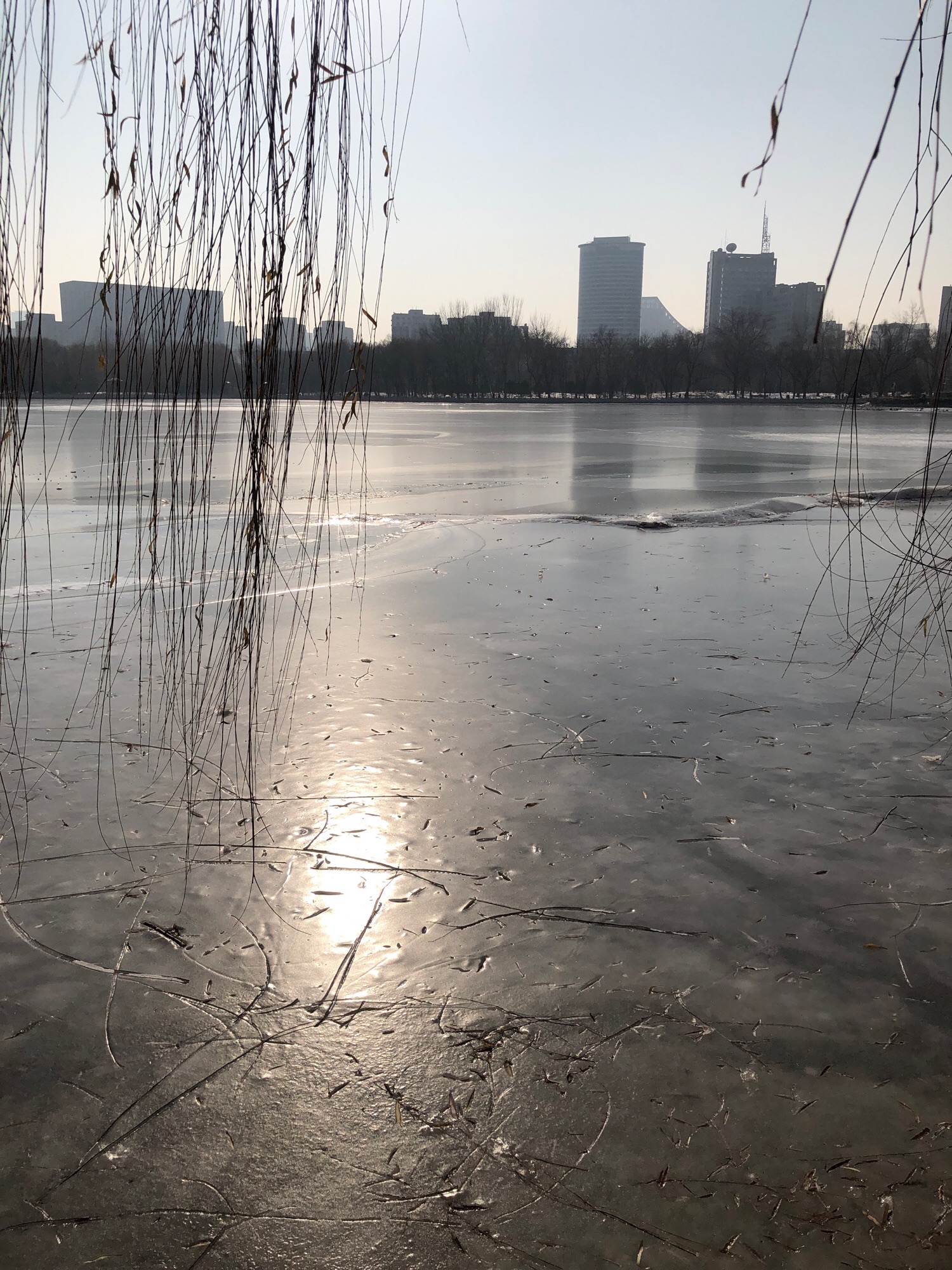 场地封面-北京莲花池公园冰场(暂停营业)