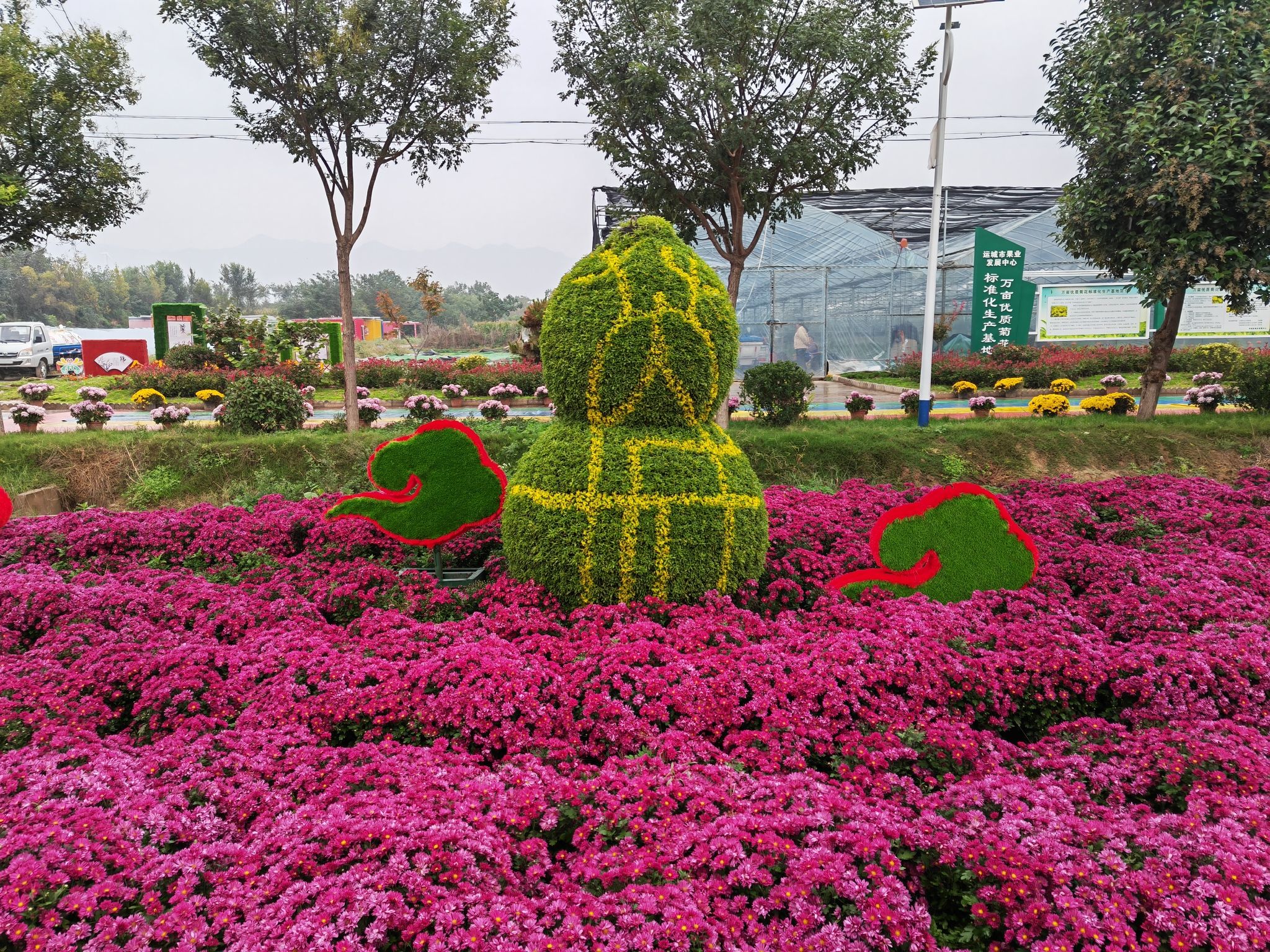 芮城斜口村菊花园旅行图片 1
