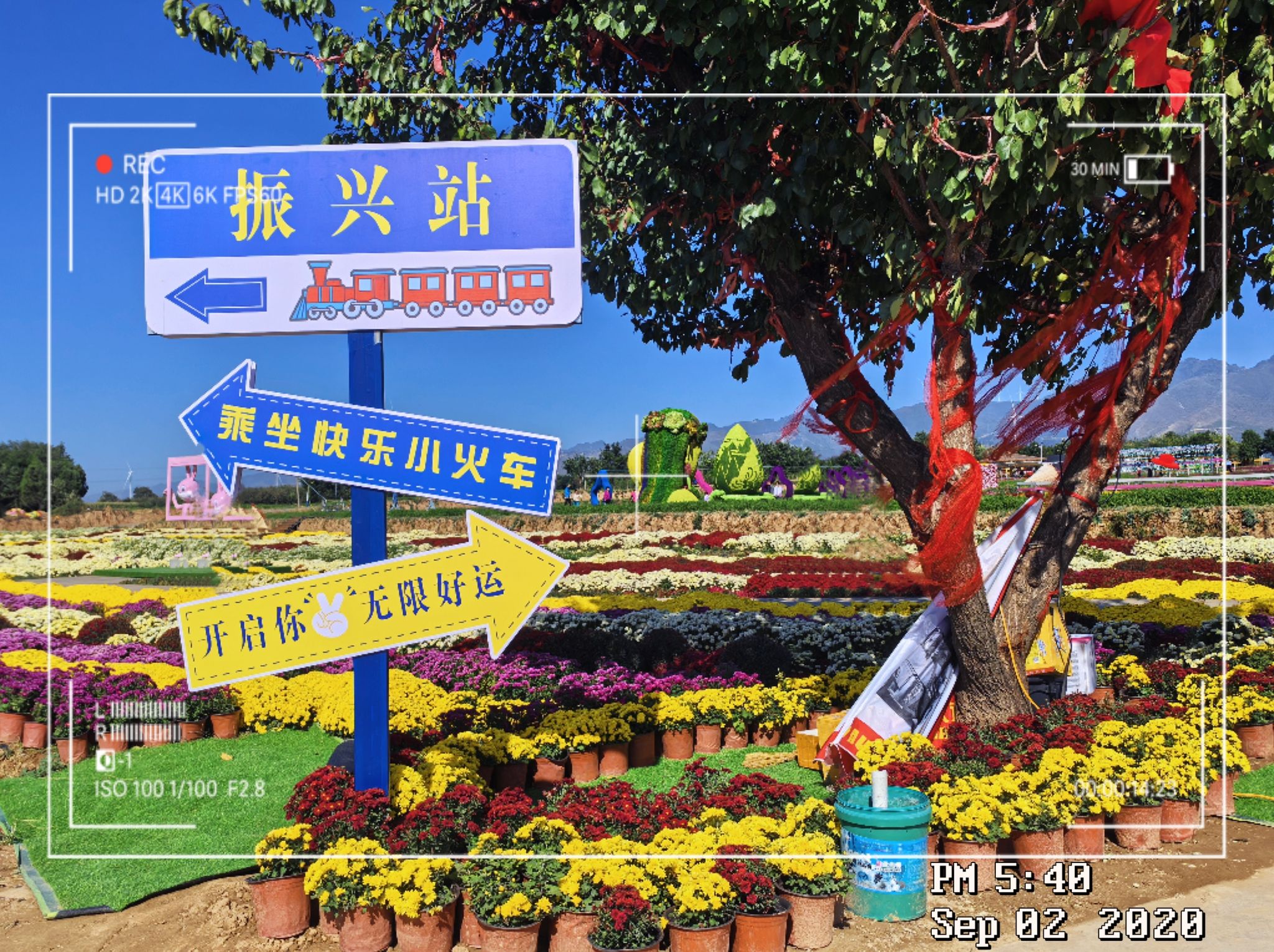 芮城斜口村菊花园旅行图片 2