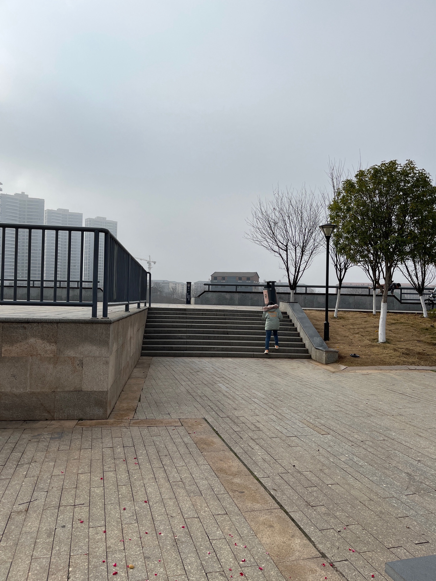 体育公园旅行图片 3