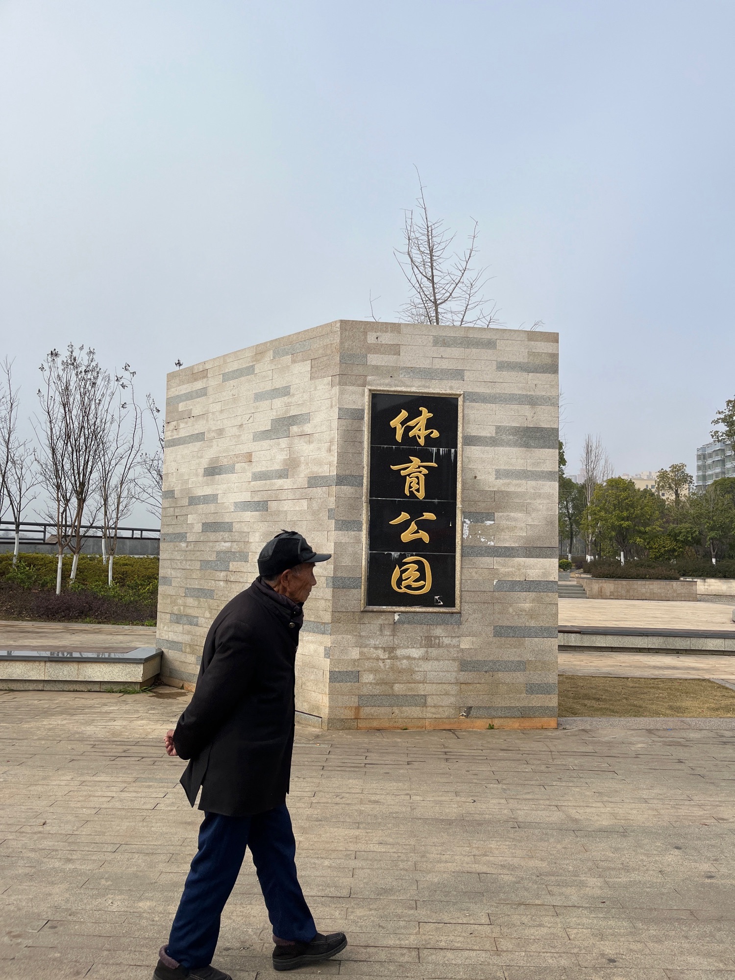 体育公园旅行图片 2