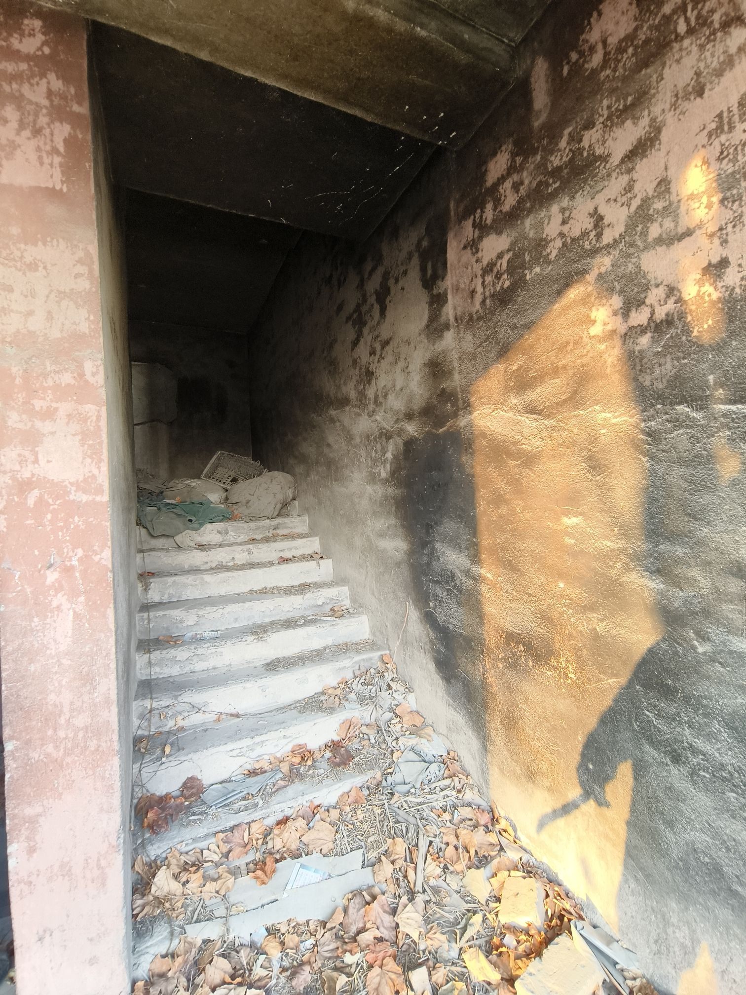 拾家大院旅行图片 2