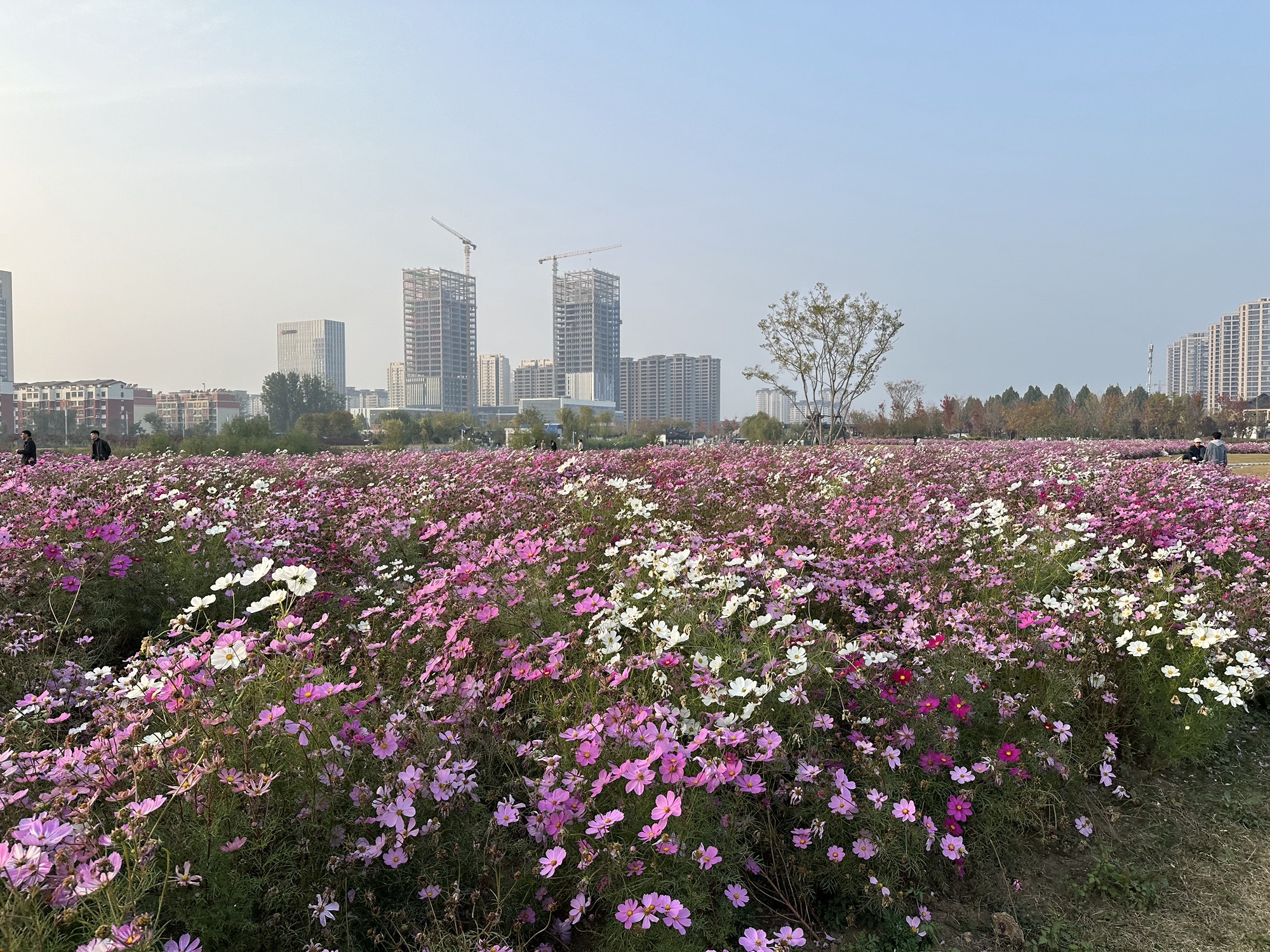 兰溪公园旅行图片 1