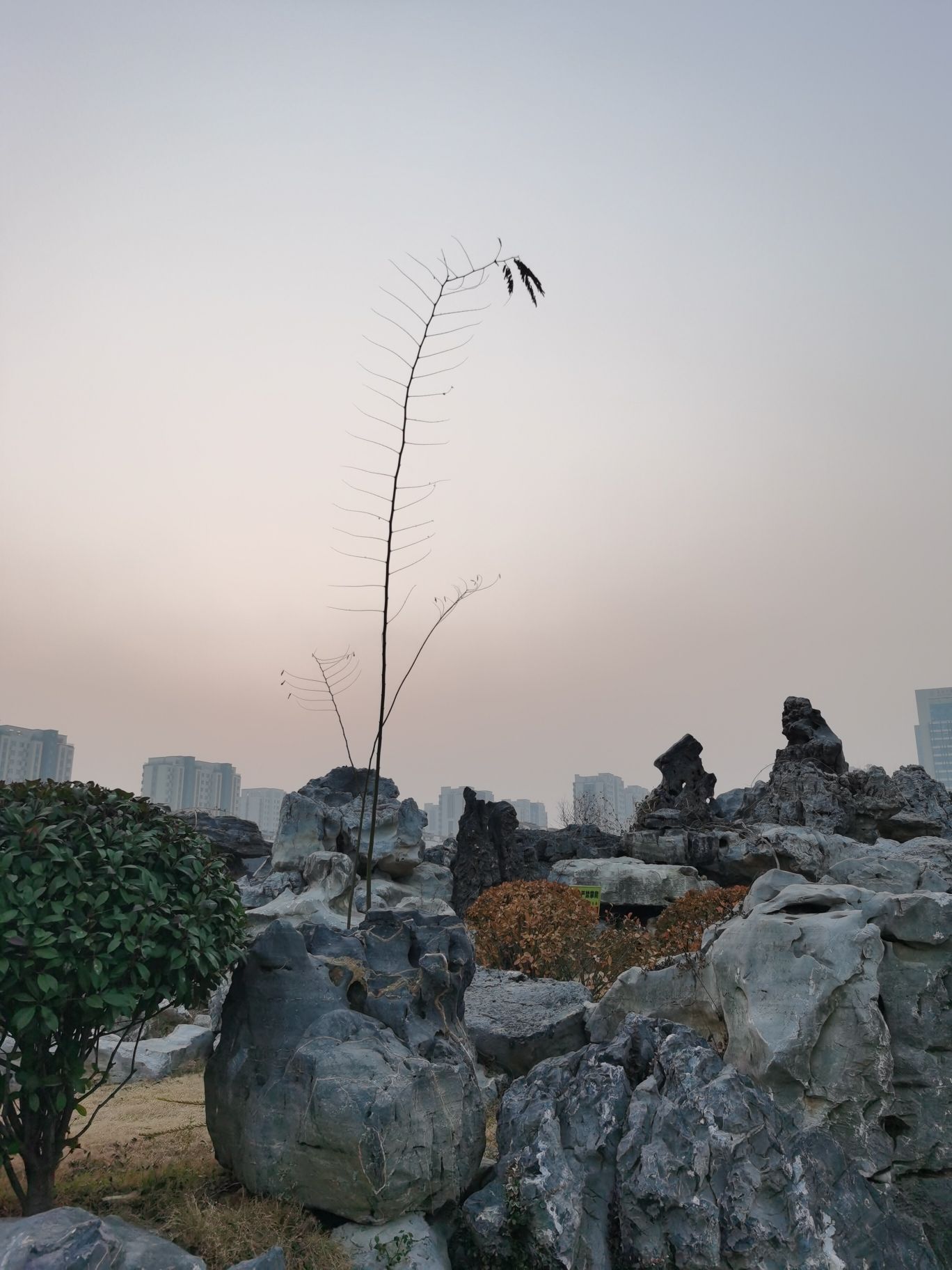 兰溪公园旅行图片 3