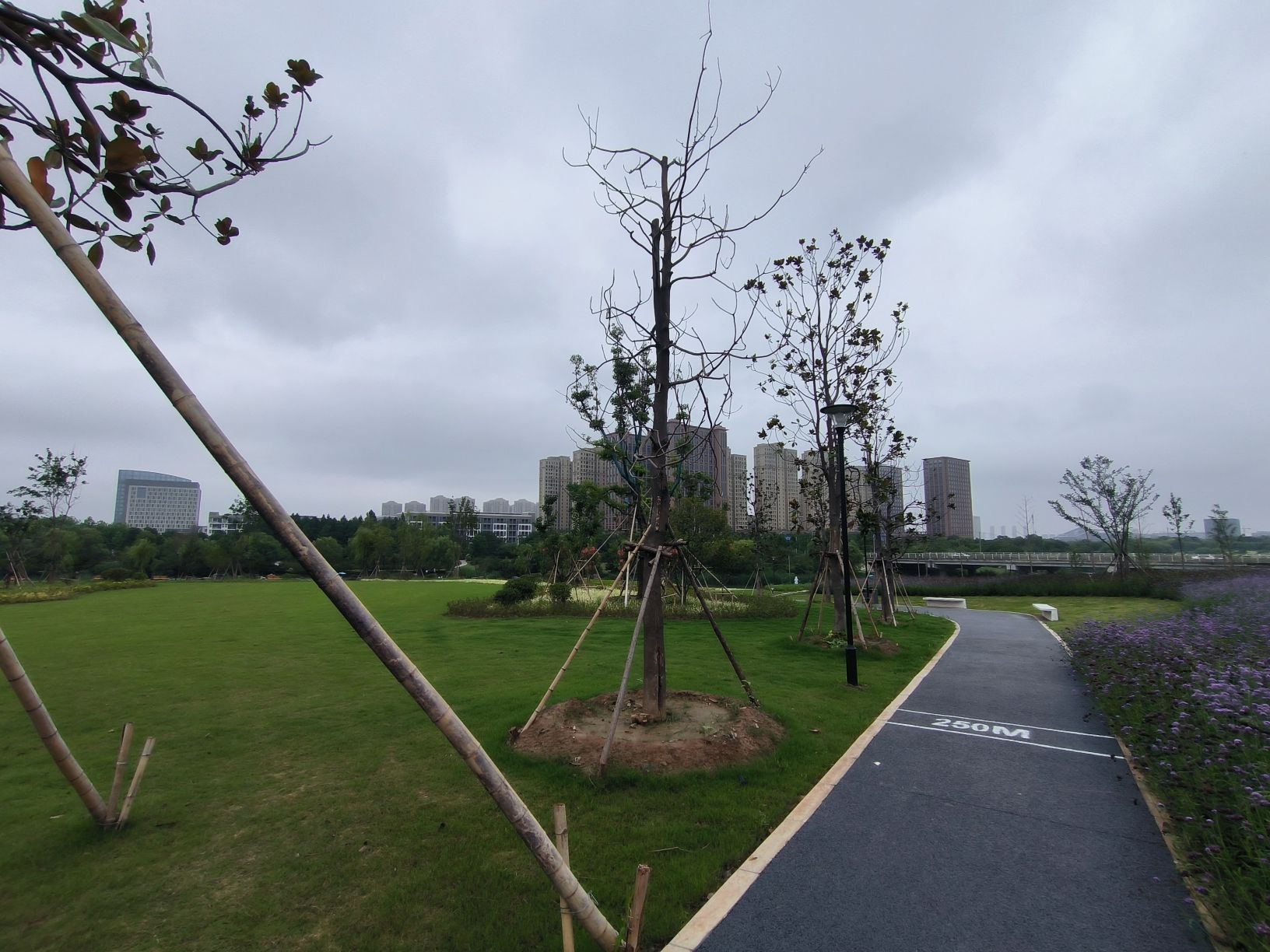 城市阳台旅行图片 3