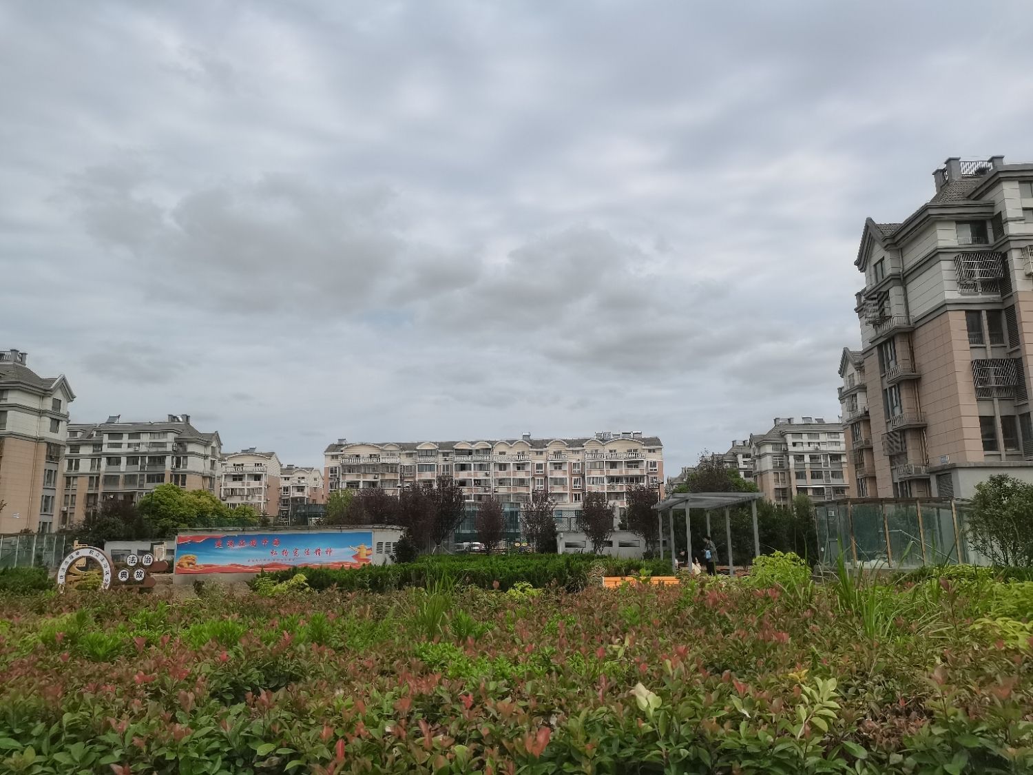 金缘人民公园旅行图片 3
